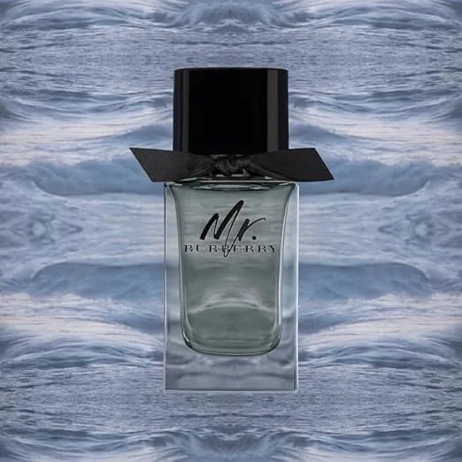 ادکلن مردانه Mr. Burberry، حجم 100 میلی لیتر ادکلن مردانه Mr. Burberry، حجم 100 میلی لیتر