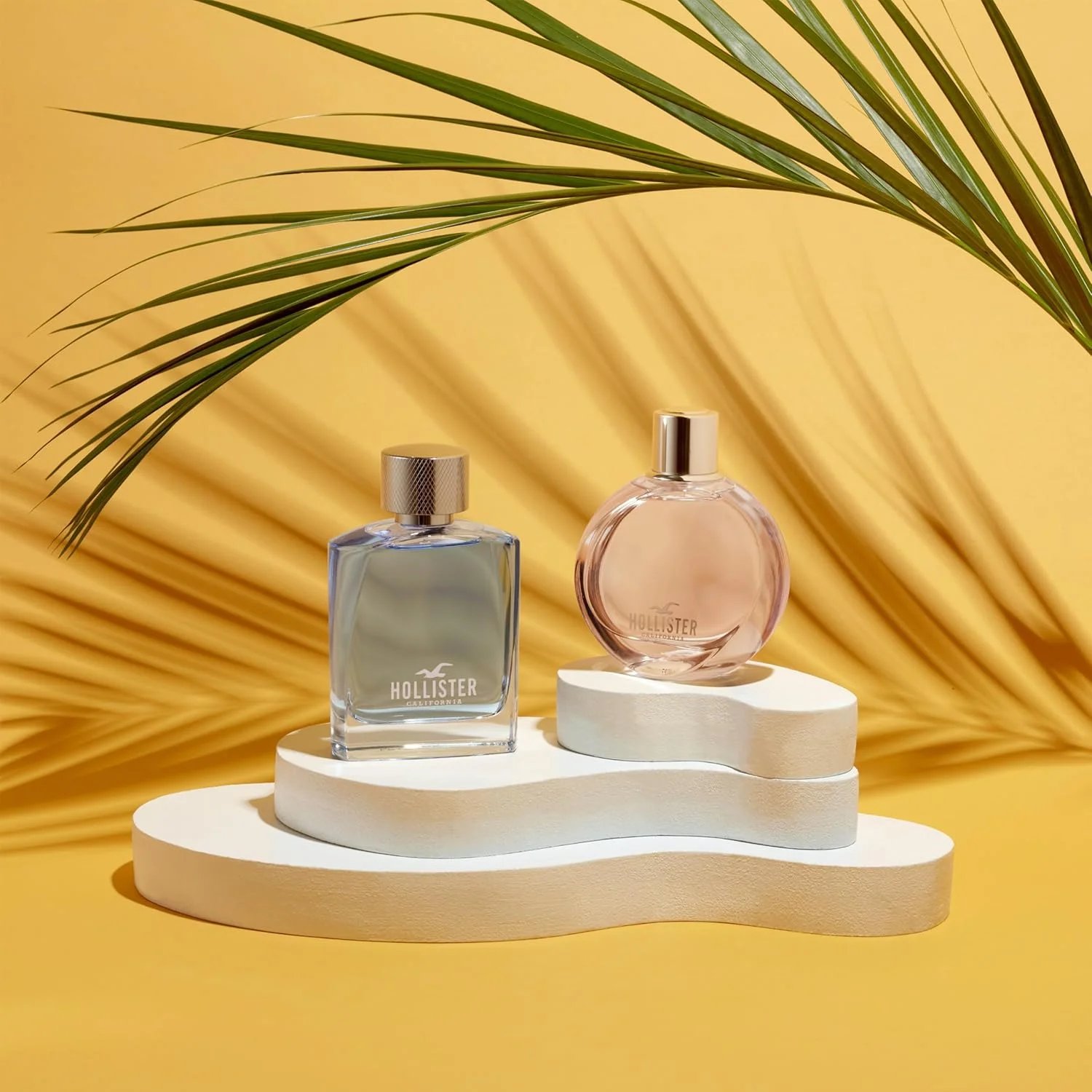 ادکلن مردانه هالیستر ویو، ۱۰۰ میلی لیتر، ۱۰۰۰۳۱۲۶