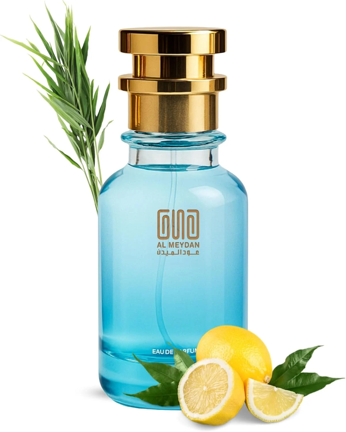 عطر روغنی مردانه - الهام گرفته از ادیشن 2016 - رایحه ای با طراوت مرکباتی، معطر و چوبی بدون الکل با نعناع، زنجبیل و وتیور - ماندگاری طولانی (100 میلی لیتر)