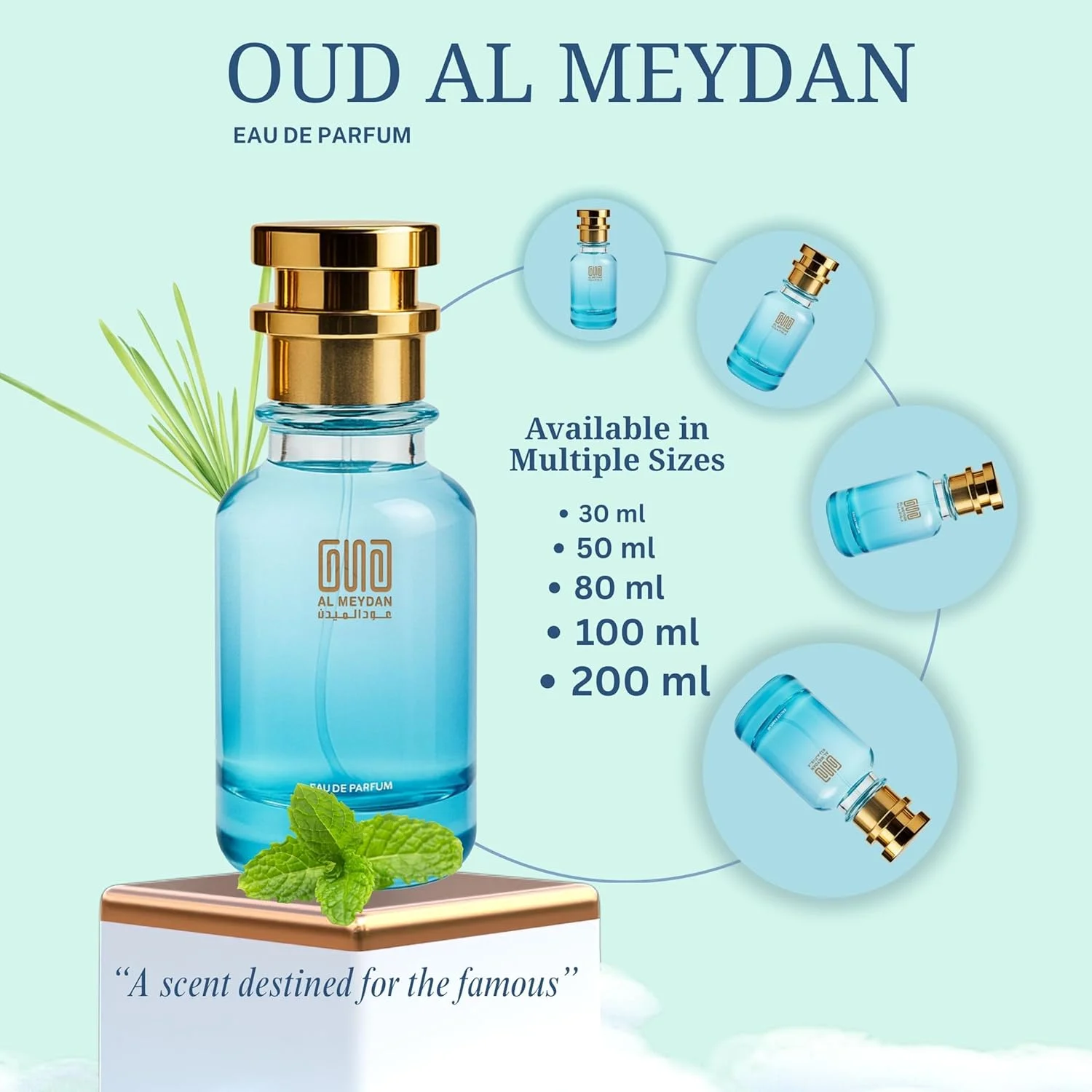 عطر روغنی مردانه - الهام گرفته از ادیشن 2016 - رایحه ای با طراوت مرکباتی، معطر و چوبی بدون الکل با نعناع، زنجبیل و وتیور - ماندگاری طولانی (100 میلی لیتر)