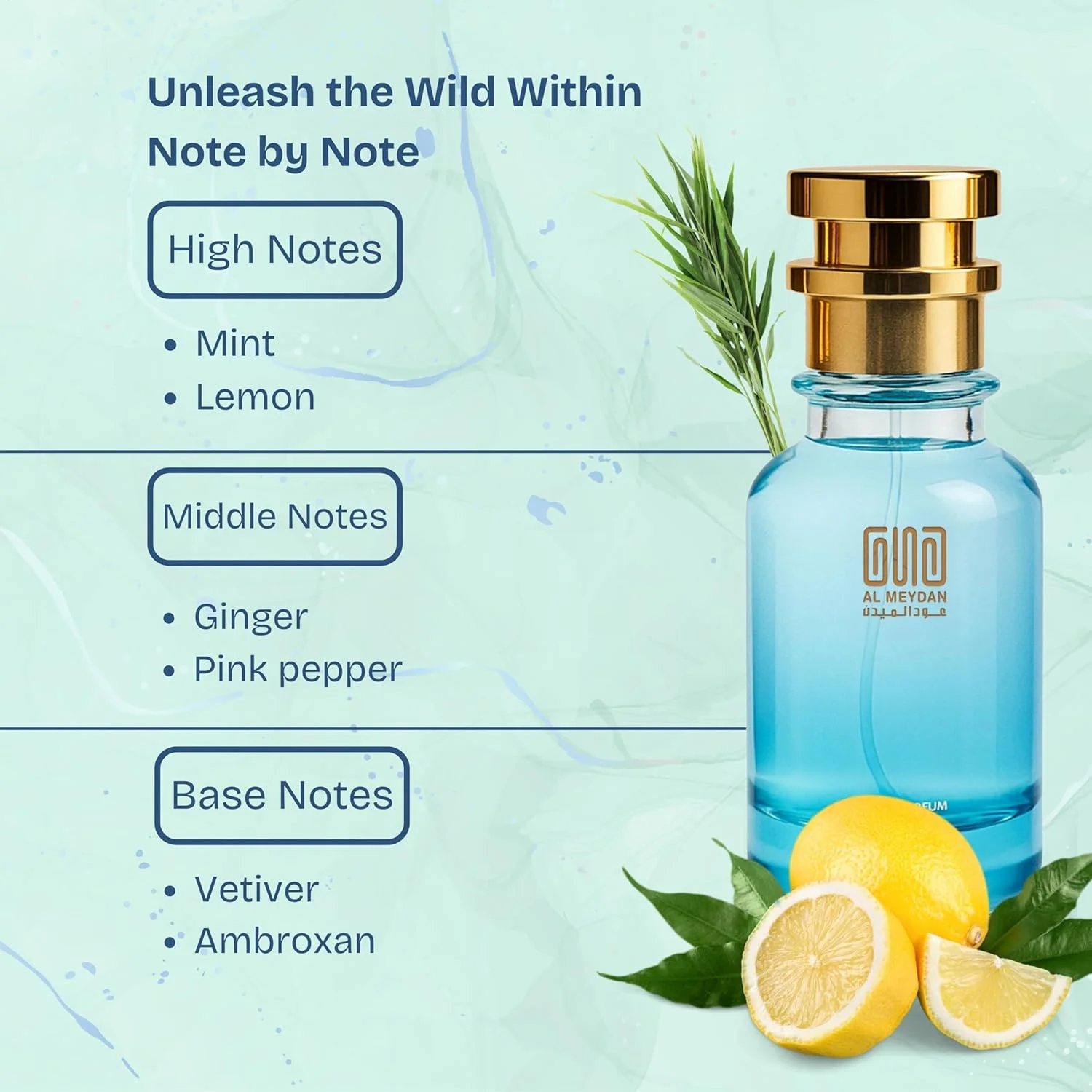 عطر روغنی مردانه - الهام گرفته از ادیشن 2016 - رایحه ای با طراوت مرکباتی، معطر و چوبی بدون الکل با نعناع، زنجبیل و وتیور - ماندگاری طولانی (100 میلی لیتر)