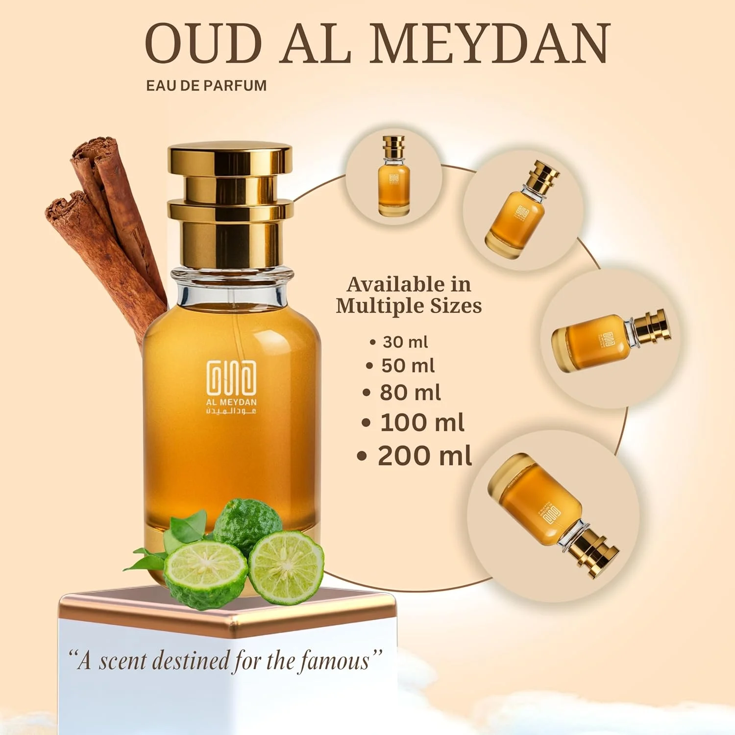 عطر روغنی مردانه – رایحه گرم، ادویه‌ای و چوبی با الهام از اسانس بووس بوتلد، با رایحه سیب، دارچین و وانیل – روغن عطر ماندگار و بدون الکل – ماندگاری 10 ساعته روی پوست (80 میلی لیتر)