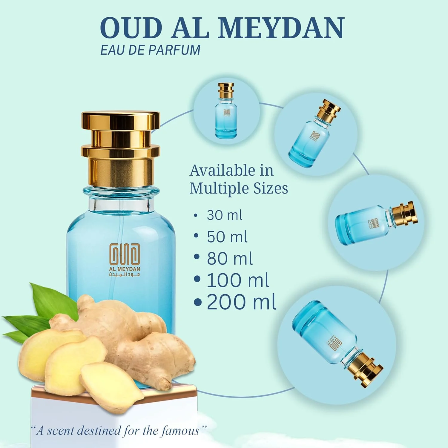 عطر روغنی برای زنان و مردان – رایحه ای از سیمفونی – عطر روغنی مرکباتی تازه و ادویه ای با گریپ فروت، ترنج و زنجبیل – رایحه ای ماندگار و بدون الکل (30 میلی لیتر)