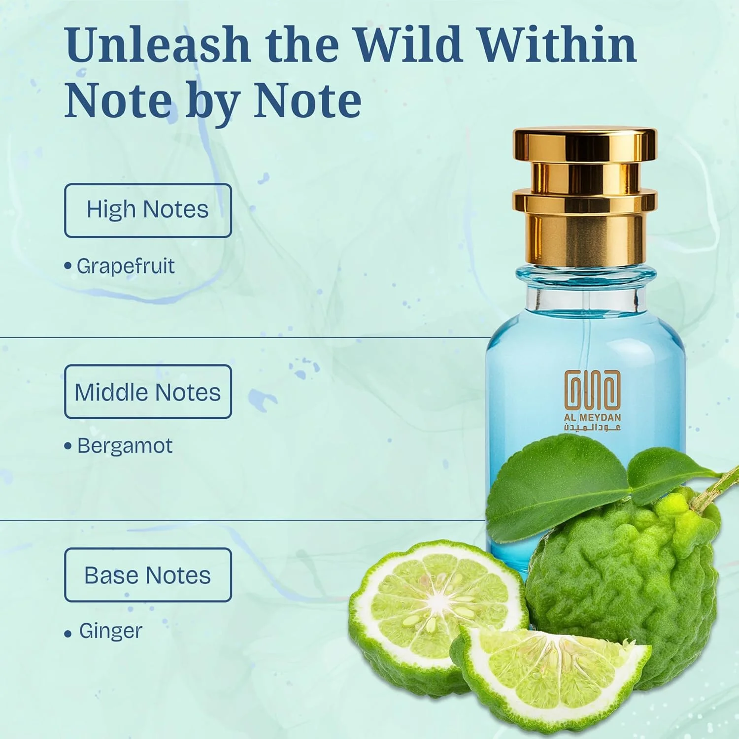 عطر روغنی برای زنان و مردان – رایحه ای از سیمفونی – عطر روغنی مرکباتی تازه و ادویه ای با گریپ فروت، ترنج و زنجبیل – رایحه ای ماندگار و بدون الکل (30 میلی لیتر)