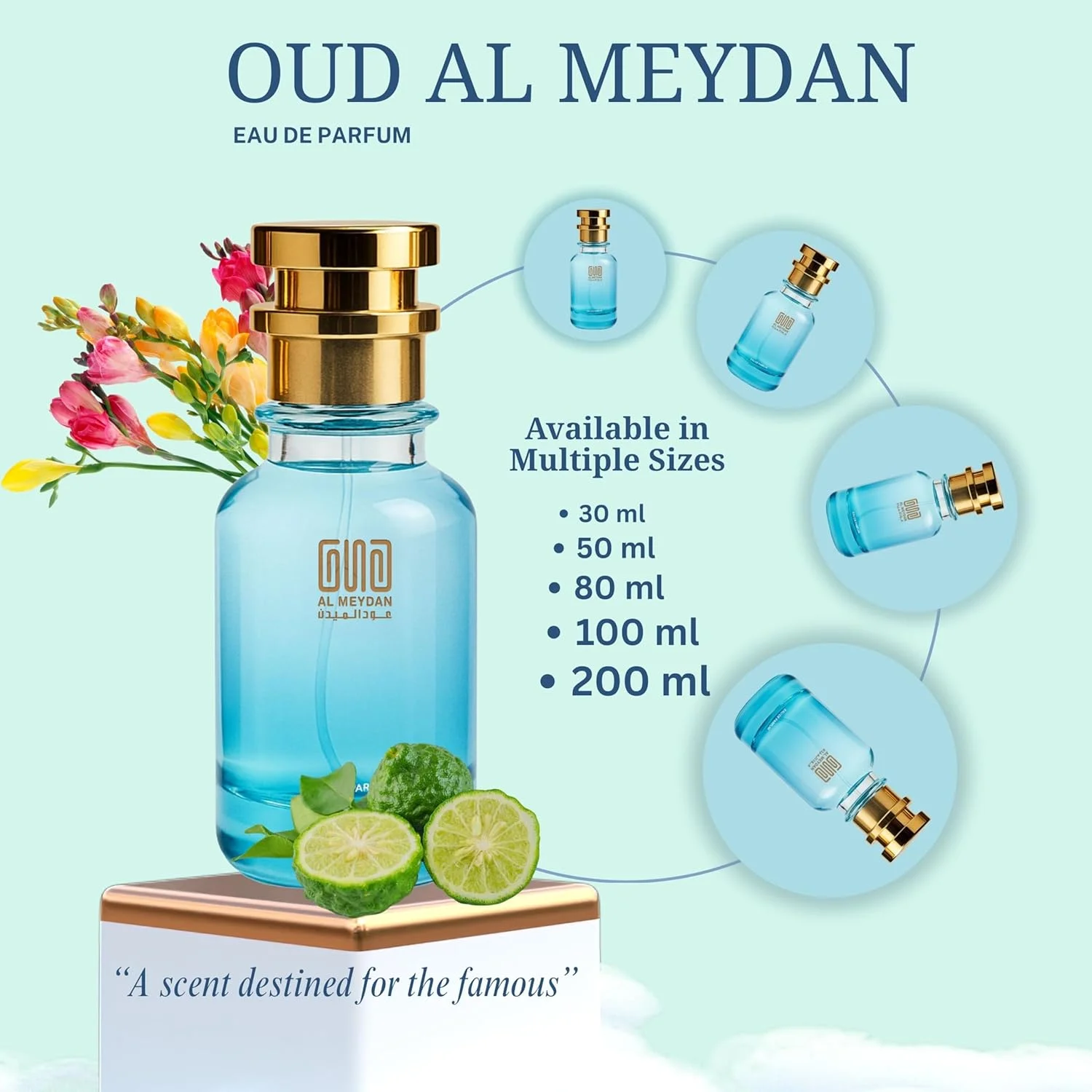 عطر روغنی مردانه – رایحه ای با الهام از آکوا دی جیو، با طراوت، دریایی و مرکباتی با رایحه لیمو، نت های دریایی و سدر – روغن معطر ماندگار بدون الکل – ماندگاری 10 ساعته روی پوست (100 میلی لیتر)