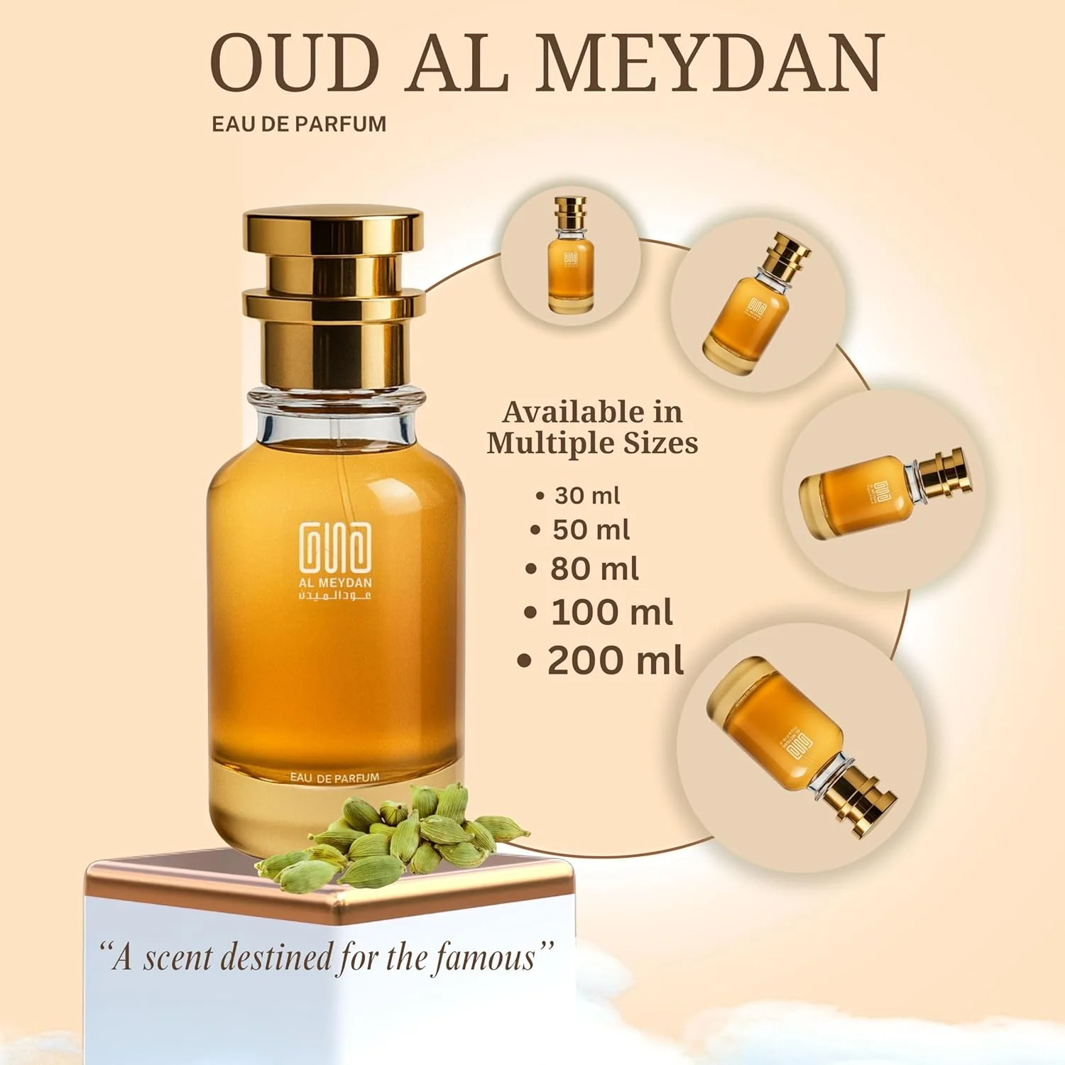 عطرهای روغنی مردانه – الهام گرفته از مَن این بلک – رایحه شرقی ادویه‌ای – بدون الکل – ماندگاری ۸-۹ ساعته – با رایحه رام، چرم و دانه تونکا – مناسب شب و زمستان (۸۰ میلی لیتر)