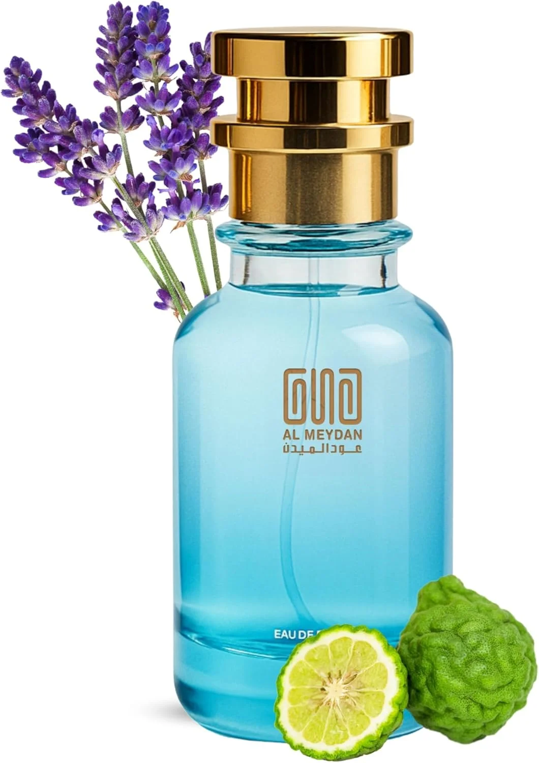 عطر روغنی مردانه – الهام گرفته از La Male – رایحه شرقی فوژه ماندگار با نعناع، وانیل و تونکا – رایحه گرم و دلپذیر (80 میلی لیتر)
