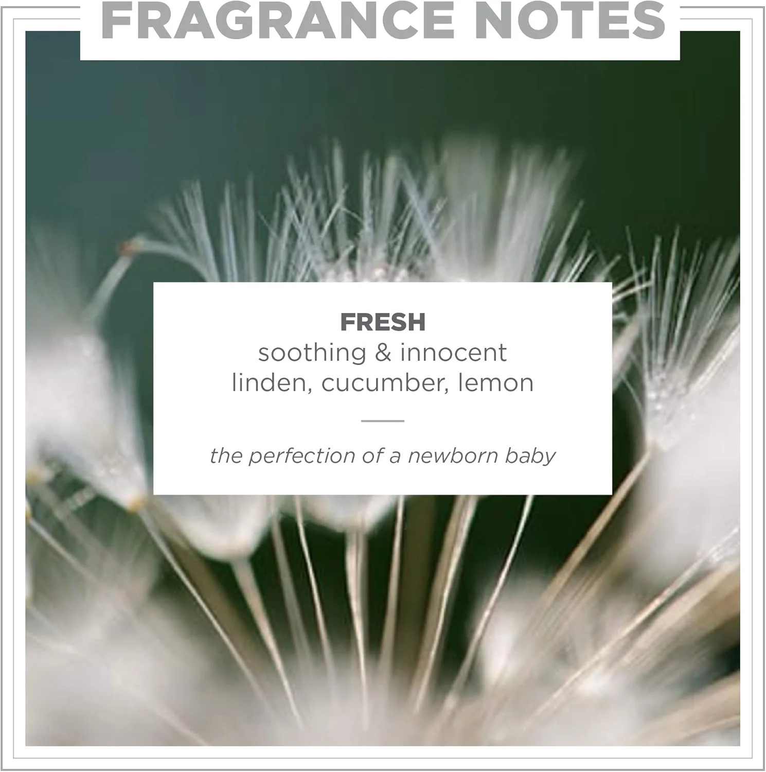 ادکلن زنانه و مردانه ZENTS (رایحه تازه) عطرهای لوکس و پاک، رایحه درمانی ملایم و ماندگار، 50 میلی لیتر