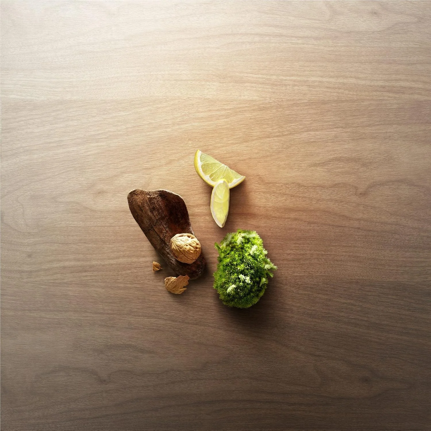 ویکتورینوکس وود ادو تویلت مردانه، گردو و مرکبات، چوبی و تازه، وگان، 100 میلی لیتر، V0001229