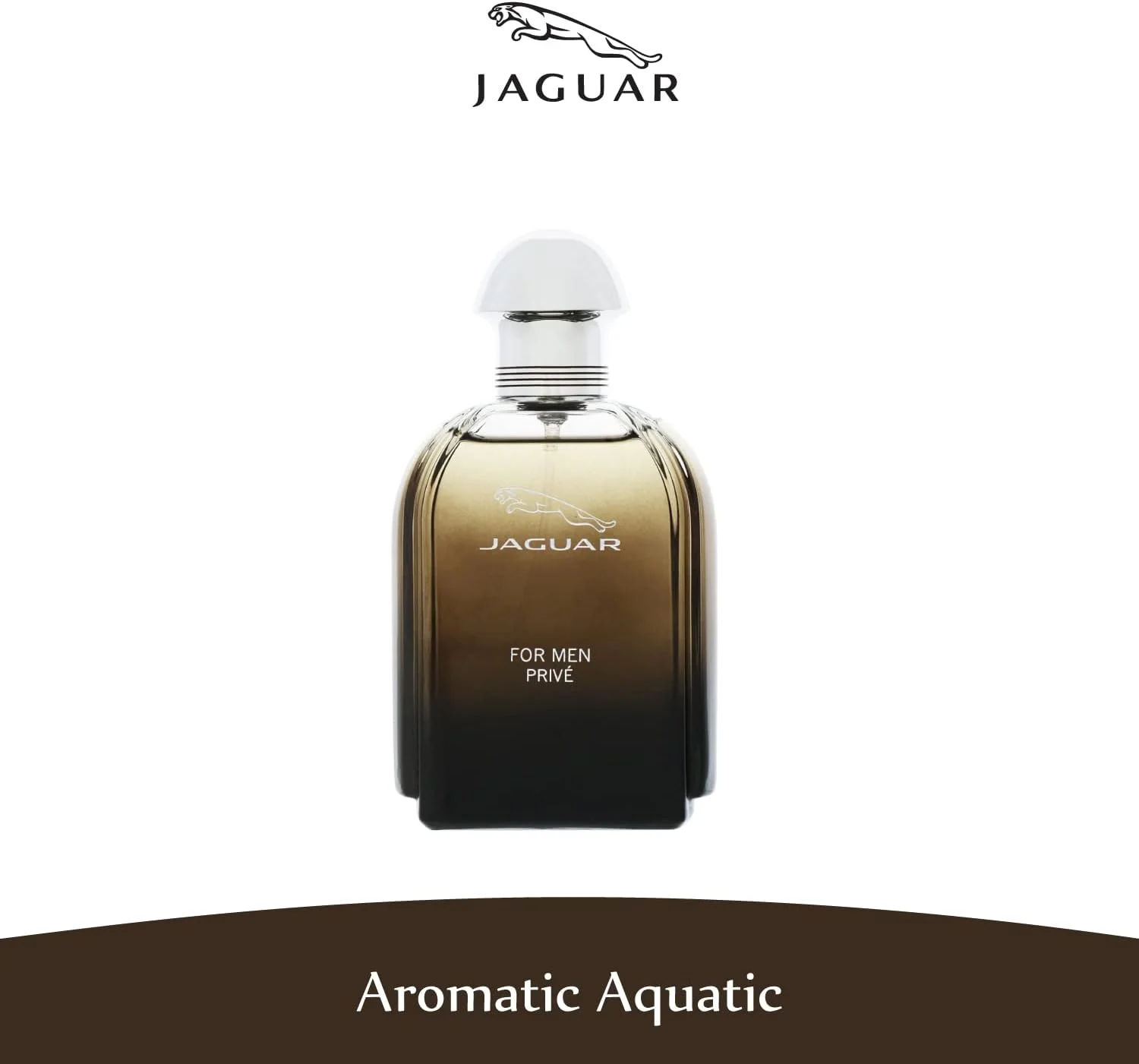 ادکلن مردانه جگوار پرایو - ادو تویلت، 100 میلی لیتر