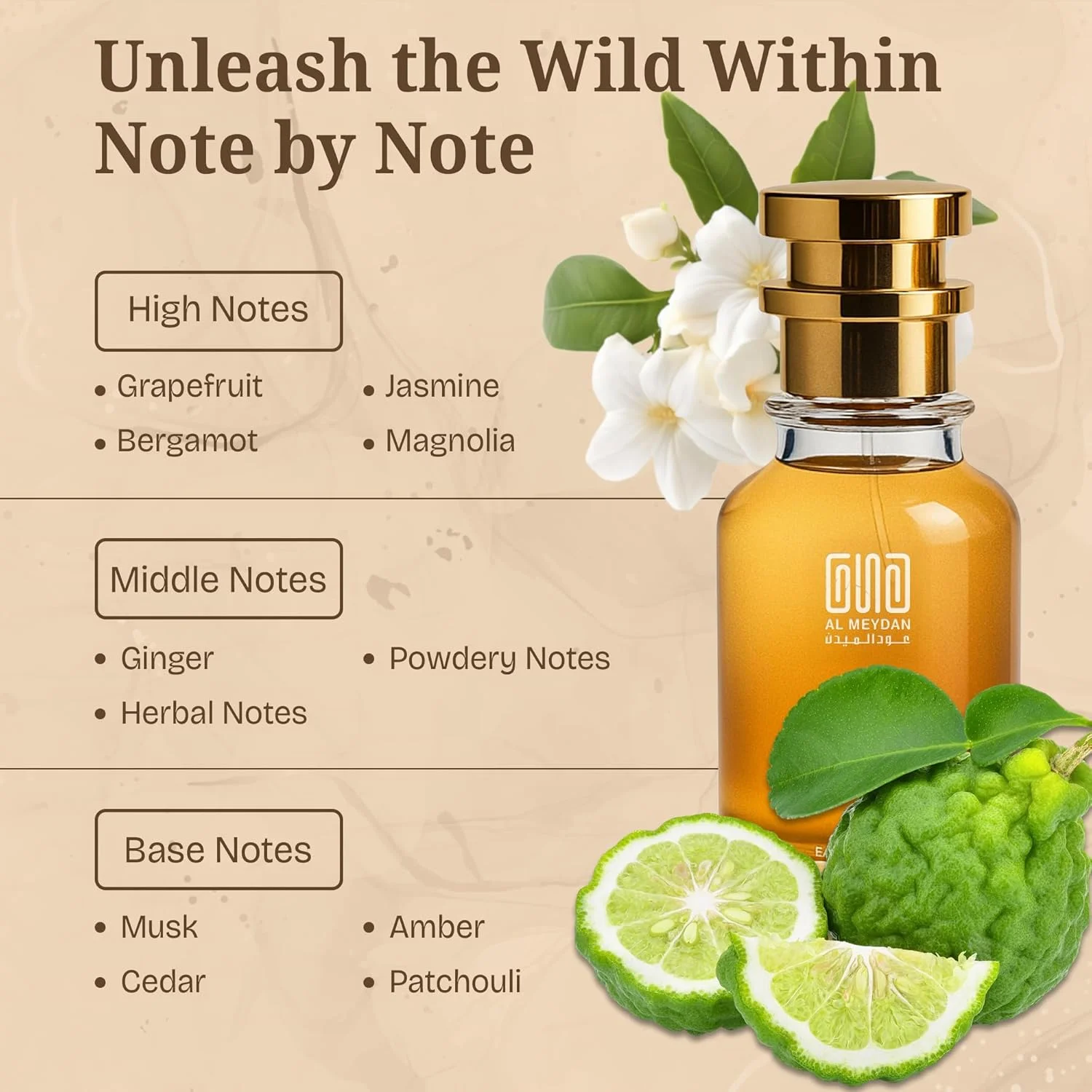 عطر روغنی زنانه و مردانه – رایحه ای از ویبراتو – عطر روغنی مرکباتی گلی با رایحه یاس، مگنولیا و عنبر – ماندگاری بالا، بدون الکل، مناسب برای هر دو جنس (200 میلی لیتر)