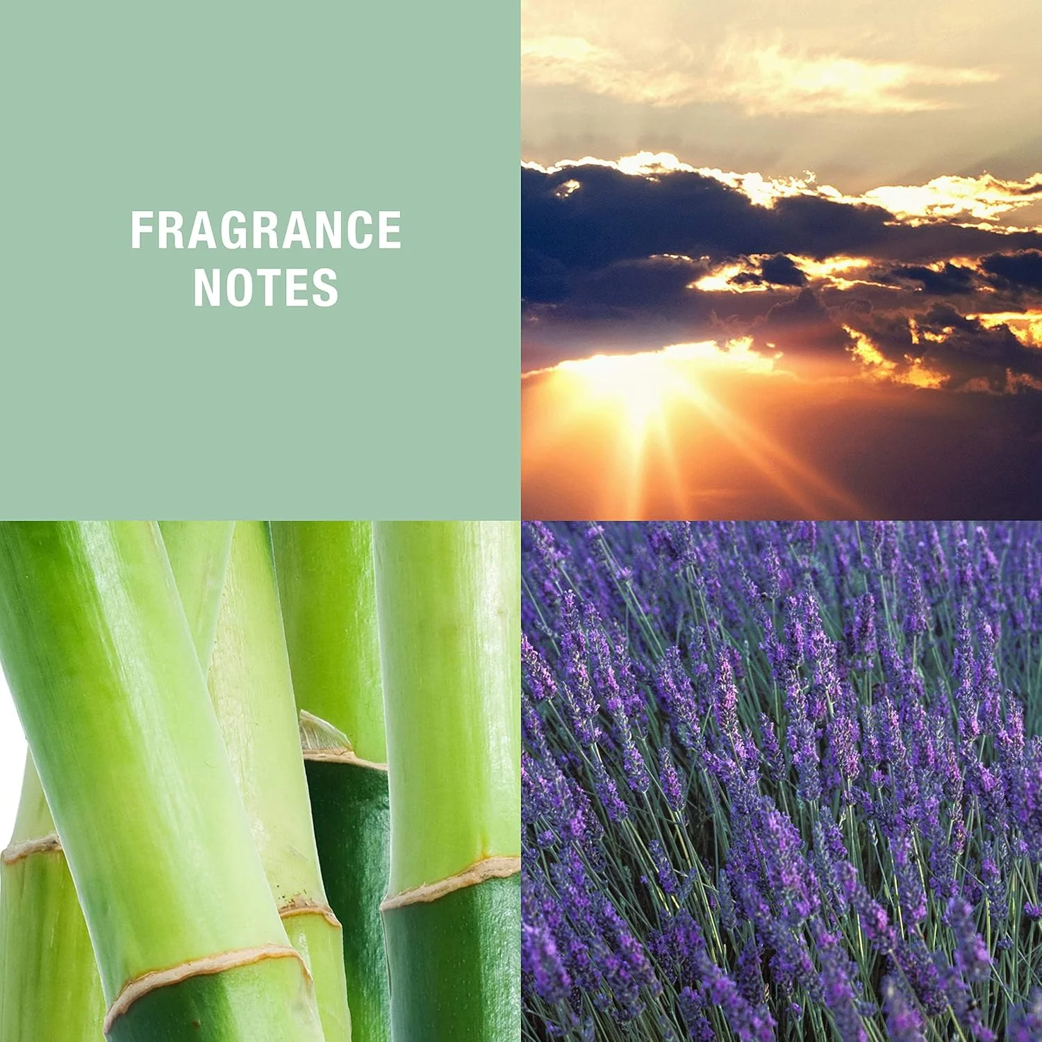 ادکلن مردانه Curve Wave by Liz Claiborne - اسپری 125 میل