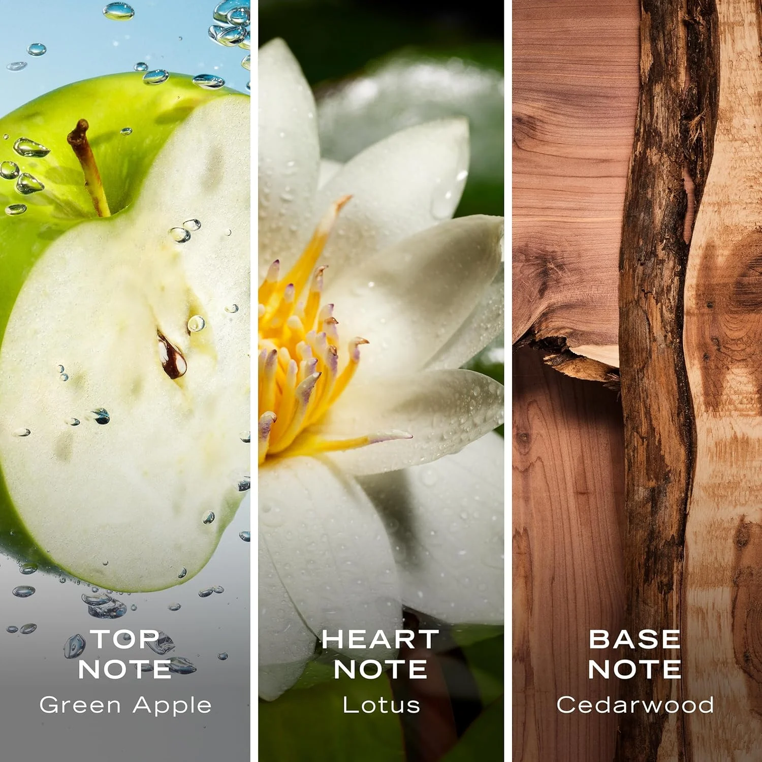 اسپری بدن مردانه ناتیکا وویج با رایحه سیب، چوب سدر و گل ابریشم، 177 میلی لیتر