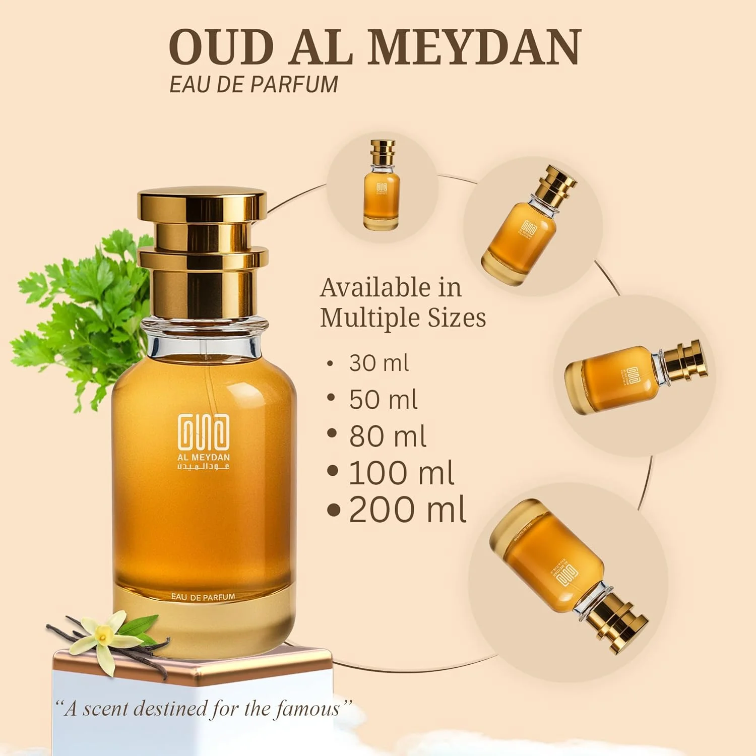 عطر روغنی مردانه – رایحه ای از اورانژ – عطر روغنی چوبی و ادویه ای بدون الکل با سیب قرمز، کندر و وانیل – ماندگاری طولانی 8-10 ساعت (50 میلی لیتر)