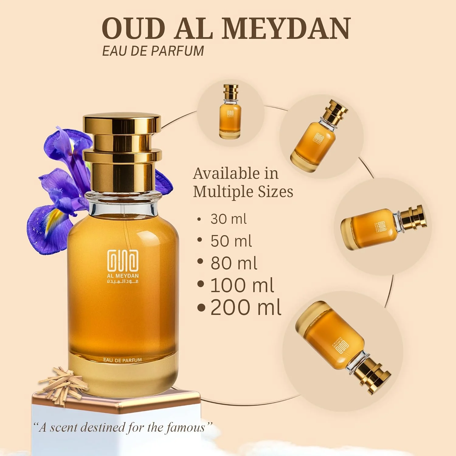 عطر روغنی مردانه – رایحه ای از مفیستو – عطر روغنی مرکباتی و چوبی بدون الکل با گریپ فروت، اسطوخودوس و عنبر – ماندگاری طولانی 8-10 ساعت (80 میلی لیتر)
