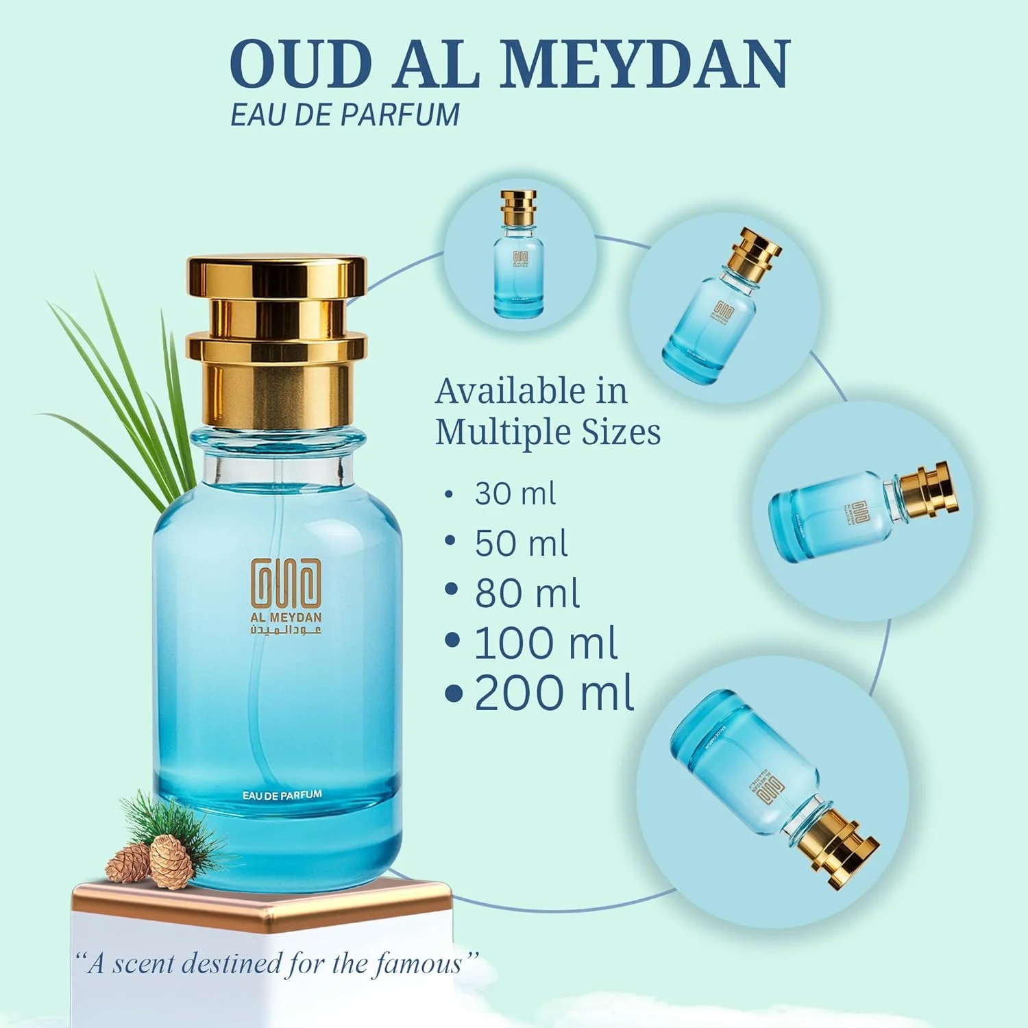 عطر روغنی مردانه – مشابه رایحه سی کی این تو یو – عطر روغنی مرکباتی و چوبی بدون الکل با رایحه لیمو، کاکائو و مشک – ماندگاری طولانی 10-12 ساعت (80 میلی لیتر)