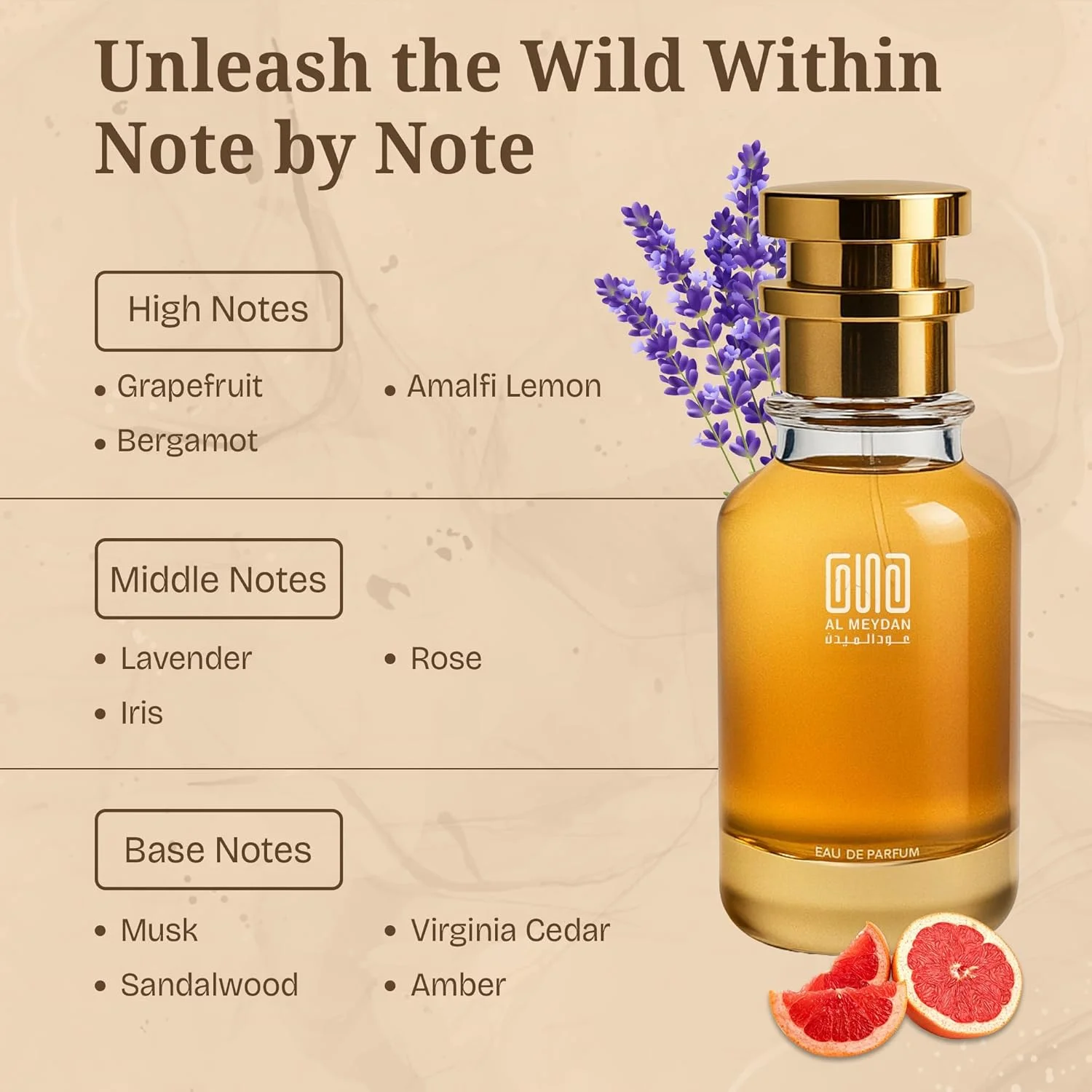 عطر روغنی مردانه – رایحه ای از مفیستو – عطر روغنی مرکباتی و چوبی بدون الکل با گریپ فروت، اسطوخودوس و عنبر – ماندگاری طولانی 8-10 ساعت (80 میلی لیتر)