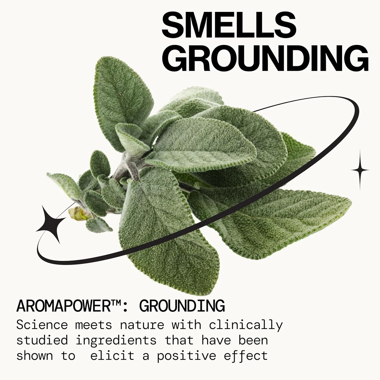 عطر اسپری پاسیفیکا مونتانا اسکای – رایحه تمیز و وگان برای خانم ها با چوب سدر و مریم گلی – رایحه چوبی خاکی آرامش بخش با چوب سدر، فلفل سیاه، مریم گلی، بدون تست حیوانی و ماندگاری طولانی، 2 اونس مایع