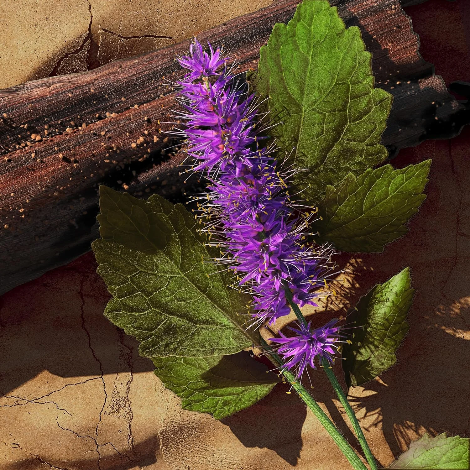 ادکلن مردانه Davidoff Zino ادو تویلت 125 میلی لیتر ادکلن مردانه Davidoff Zino ادو تویلت 125 میلی لیتر