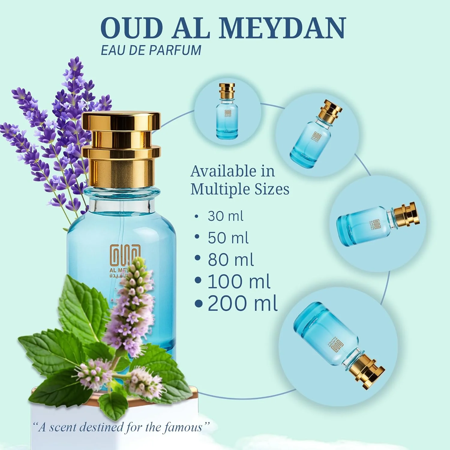 عطر روغنی مردانه با رایحه ای از Blaqk Ess Exxess – روغن عطر مرکباتی و کهربایی بدون الکل با لیمو، اسطوخودوس و نعناع هندی – ماندگاری طولانی 8-10 ساعت (30 میلی لیتر)