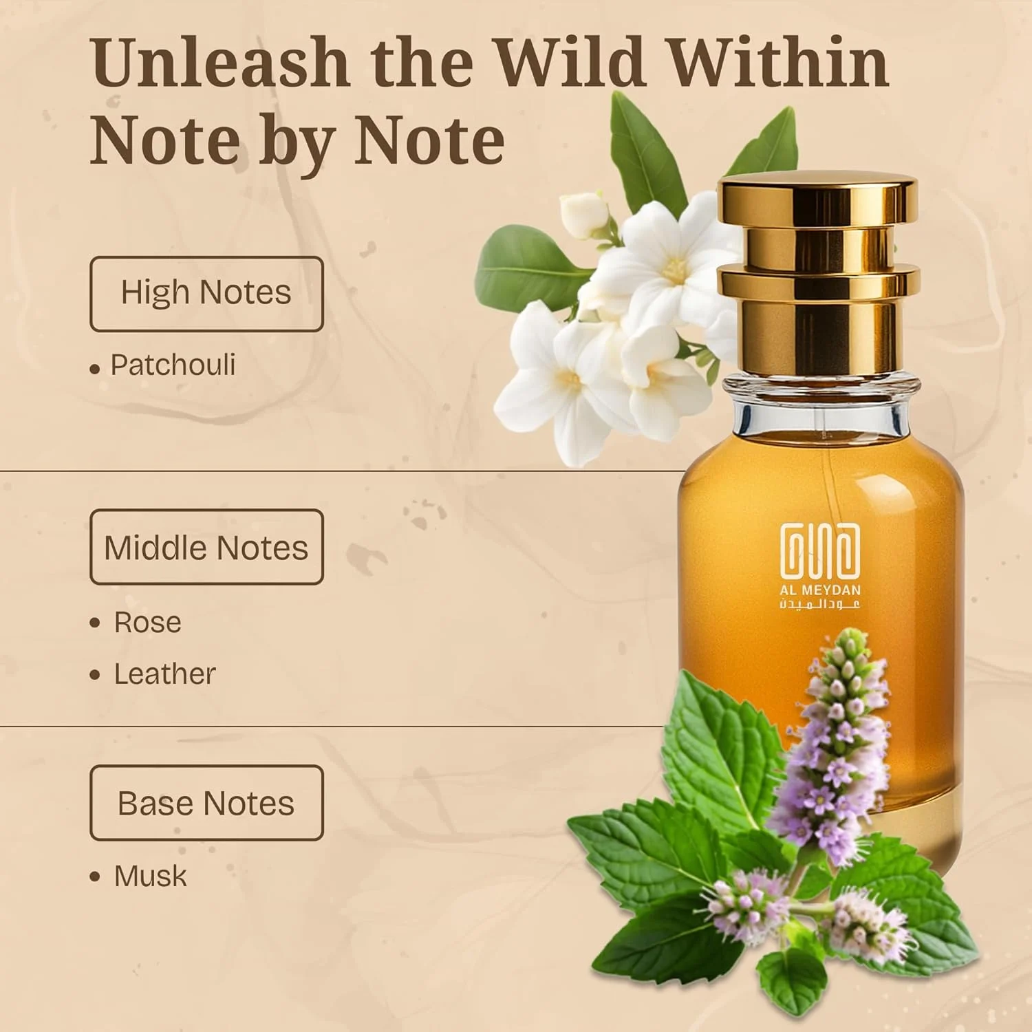 عطر روغنی مردانه - رایحه ای از HTwofour - عطر روغنی معطر چوبی تازه با مریم گلی، چوب رزوود و نرگس - ماندگاری طولانی و بدون الکل (80 میلی لیتر)