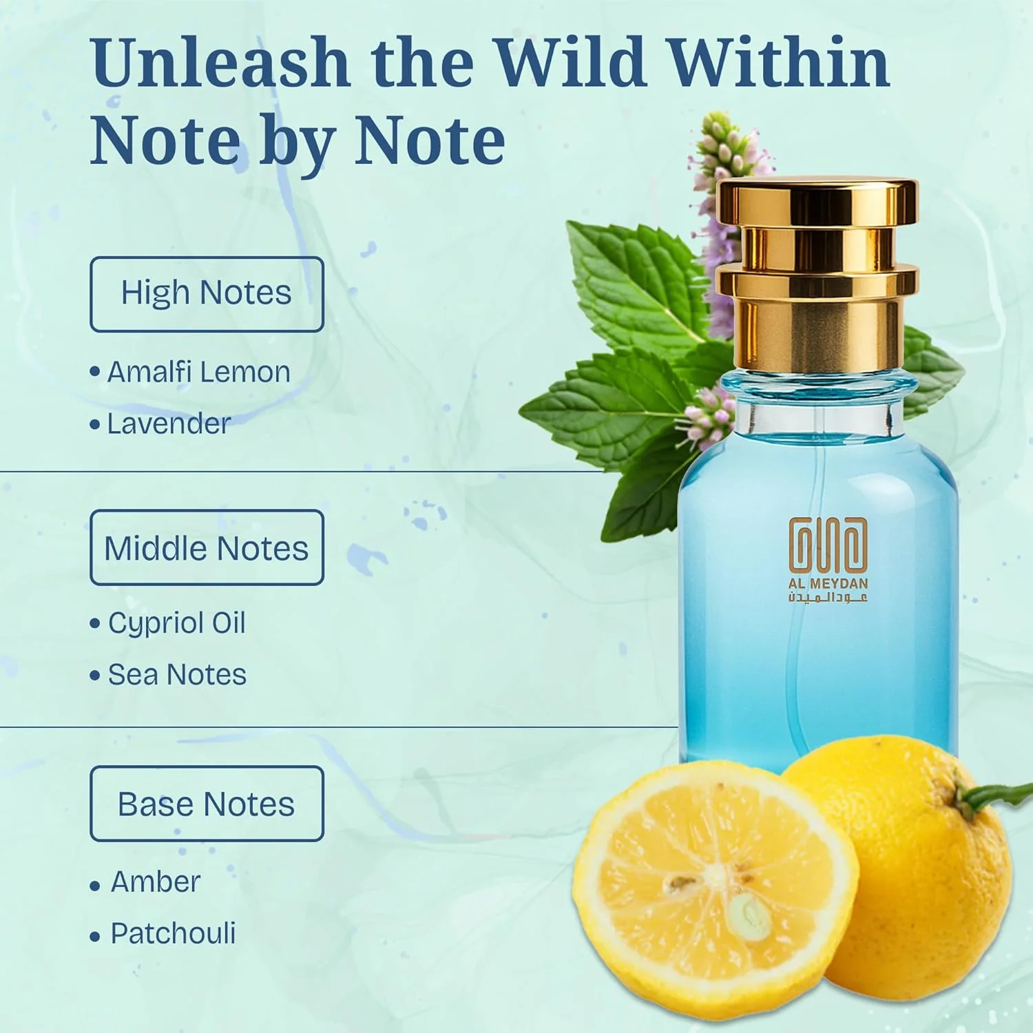 عطر روغنی مردانه با رایحه ای از Blaqk Ess Exxess – روغن عطر مرکباتی و کهربایی بدون الکل با لیمو، اسطوخودوس و نعناع هندی – ماندگاری طولانی 8-10 ساعت (30 میلی لیتر)