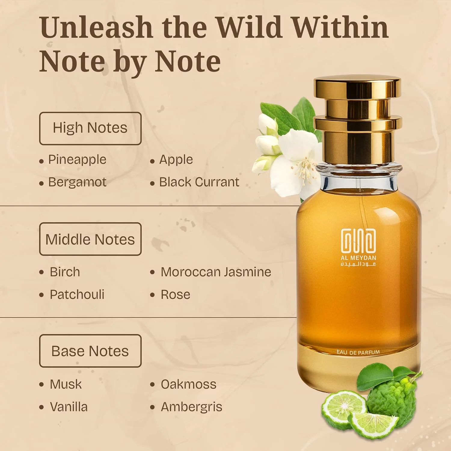 عطر روغنی مردانه – رایحه ای از Now Ravved – عطر روغنی میوه ای و چوبی بدون الکل با رایحه آناناس، توس و مشک – ماندگاری طولانی 10-12 ساعت (200 میلی لیتر)