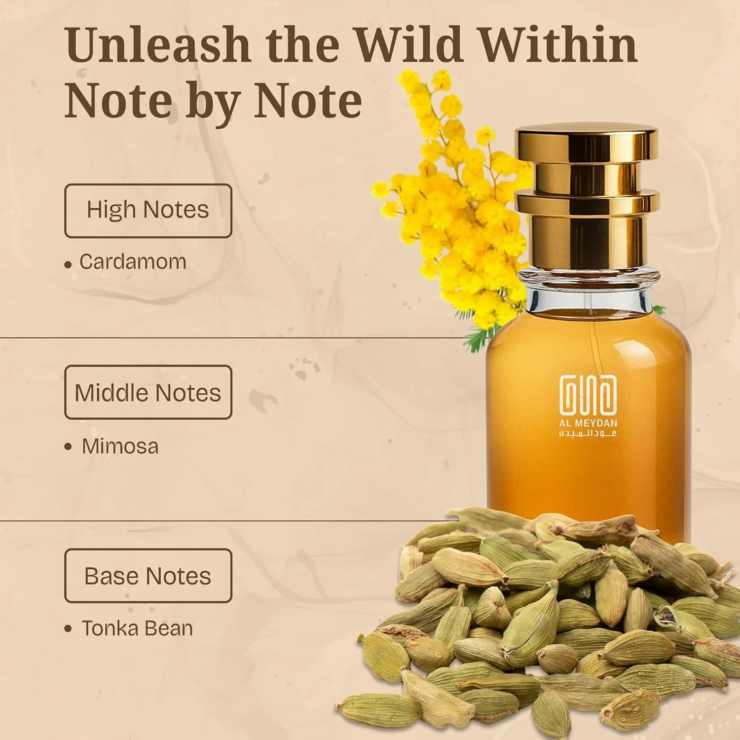 عطر روغنی زنانه و مردانه – رایحه ای از میموسا و هل – رایحه ای بدون الکل و مناسب برای هر دو جنس با هل، گل ابریشم و دانه تونکا – رایحه گلی گرم و تند ماندگار (100 میلی لیتر)