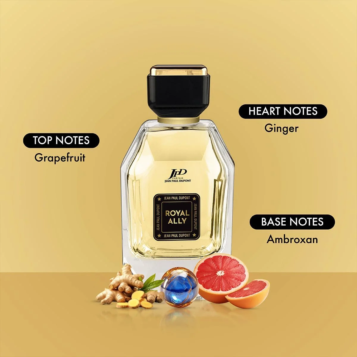 ادکلن مردانه رویال الای ژان پل دوپونت (JPD) - با رایحه های سیب، کهربا و مرکبات - ادو تویلت 100 میلی لیتر ادکلن مردانه رویال الای ژان پل دوپونت (JPD) - با رایحه های سیب، کهربا و مرکبات - ادو تویلت 100 میلی لیتر