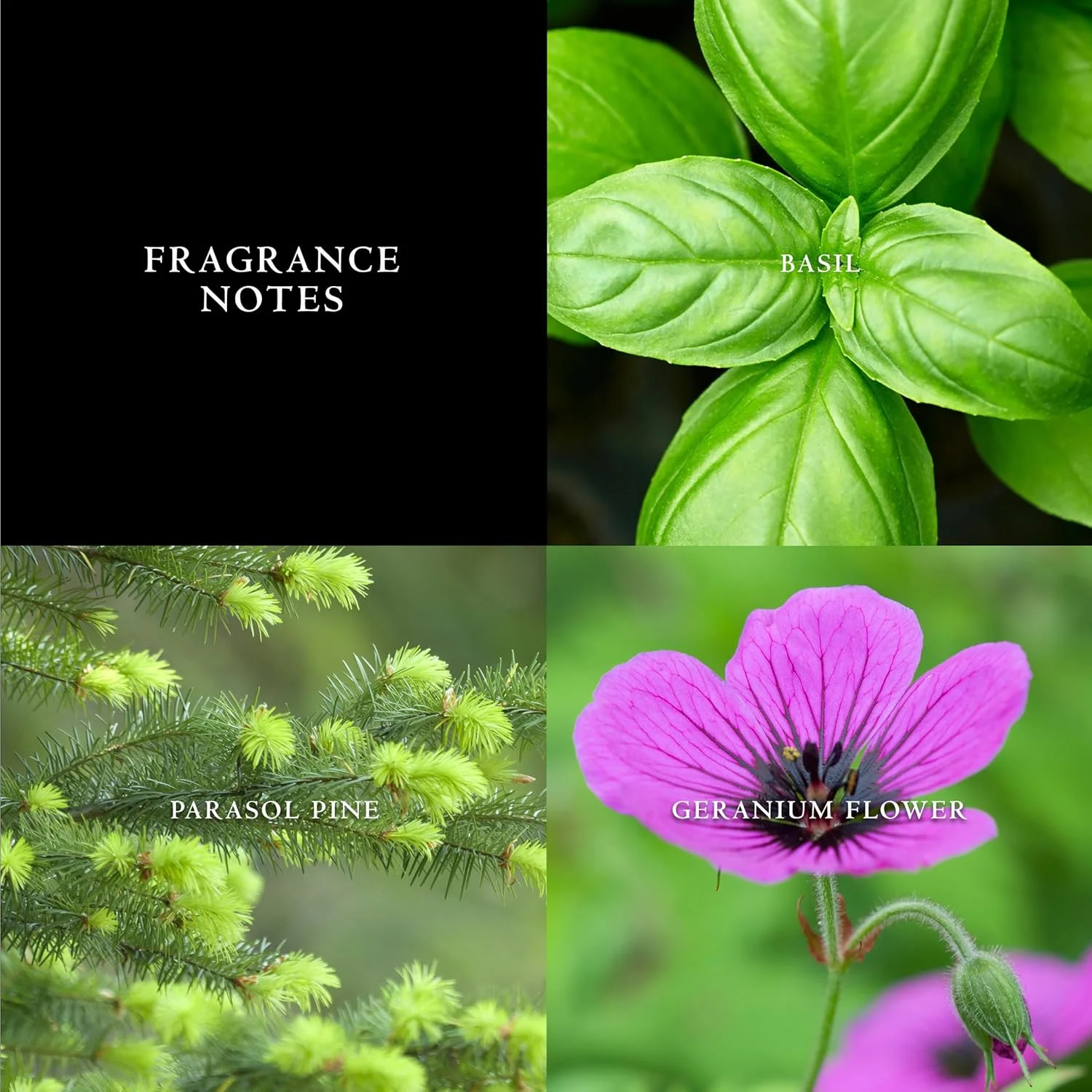 ادکلن مردانه جان وارواتوس آرتیسان بلو ادو تویلت 75 میلی لیتر