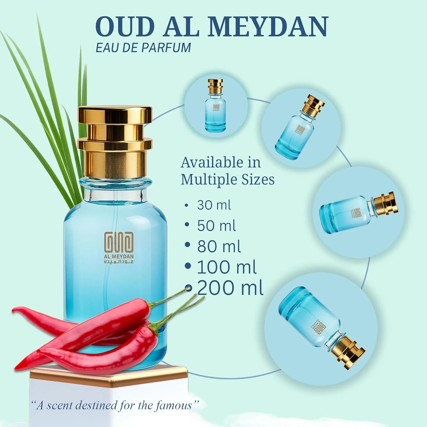 عطر روغنی مردانه - رایحه ای از تری دی هارماس - روغن عطر مرکباتی چوبی بدون الکل با رایحه پرتقال، گریپ فروت و فلفل - ماندگاری طولانی 8-12 ساعت (100 میلی لیتر)