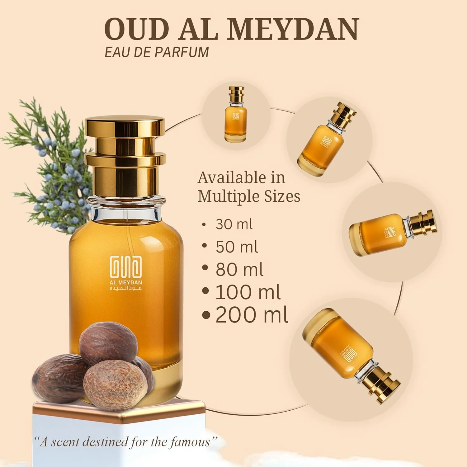 عطر روغنی مردانه – رایحه ای از استریت تو هون – روغن عطر چوبی کهربایی بدون الکل با رام، نعناع هندی و وانیل – رایحه ای گرم و تند ماندگار (80 میلی لیتر)