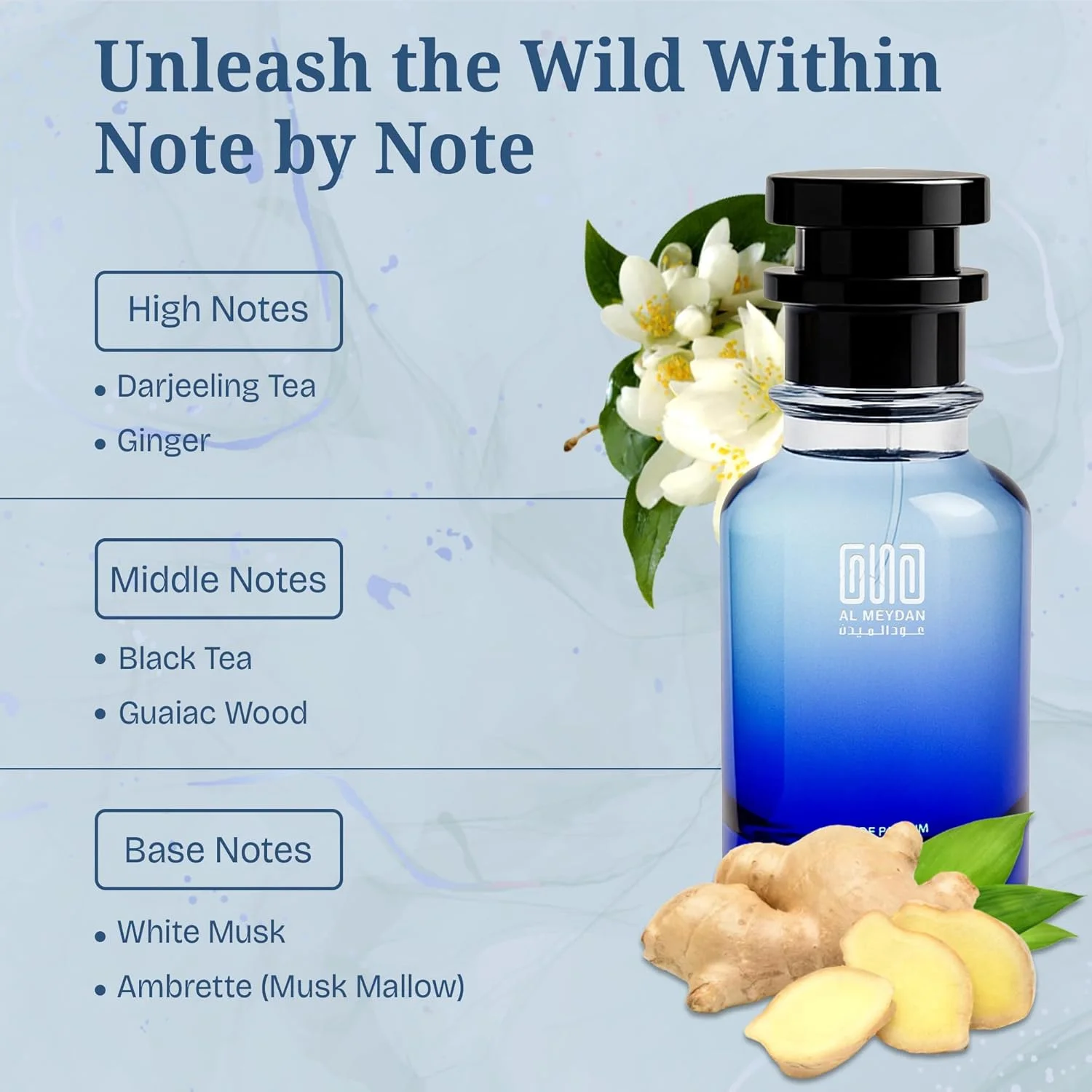 عطر روغنی مردانه – الهام گرفته از Puur Humm – روغن عطر بدون الکل با چای دارجلینگ، زنجبیل و چوب گایاک – ماندگاری طولانی، رایحه چوبی و مشکدار (۱۰۰ میلیلیتر) عطر روغنی مردانه – الهام گرفته از Puur Humm – روغن عطر بدون الکل با چای دارجلینگ، زنجبیل و چوب گایاک – ماندگاری طولانی، رایحه چوبی و مشکدار (۱۰۰ میلیلیتر)