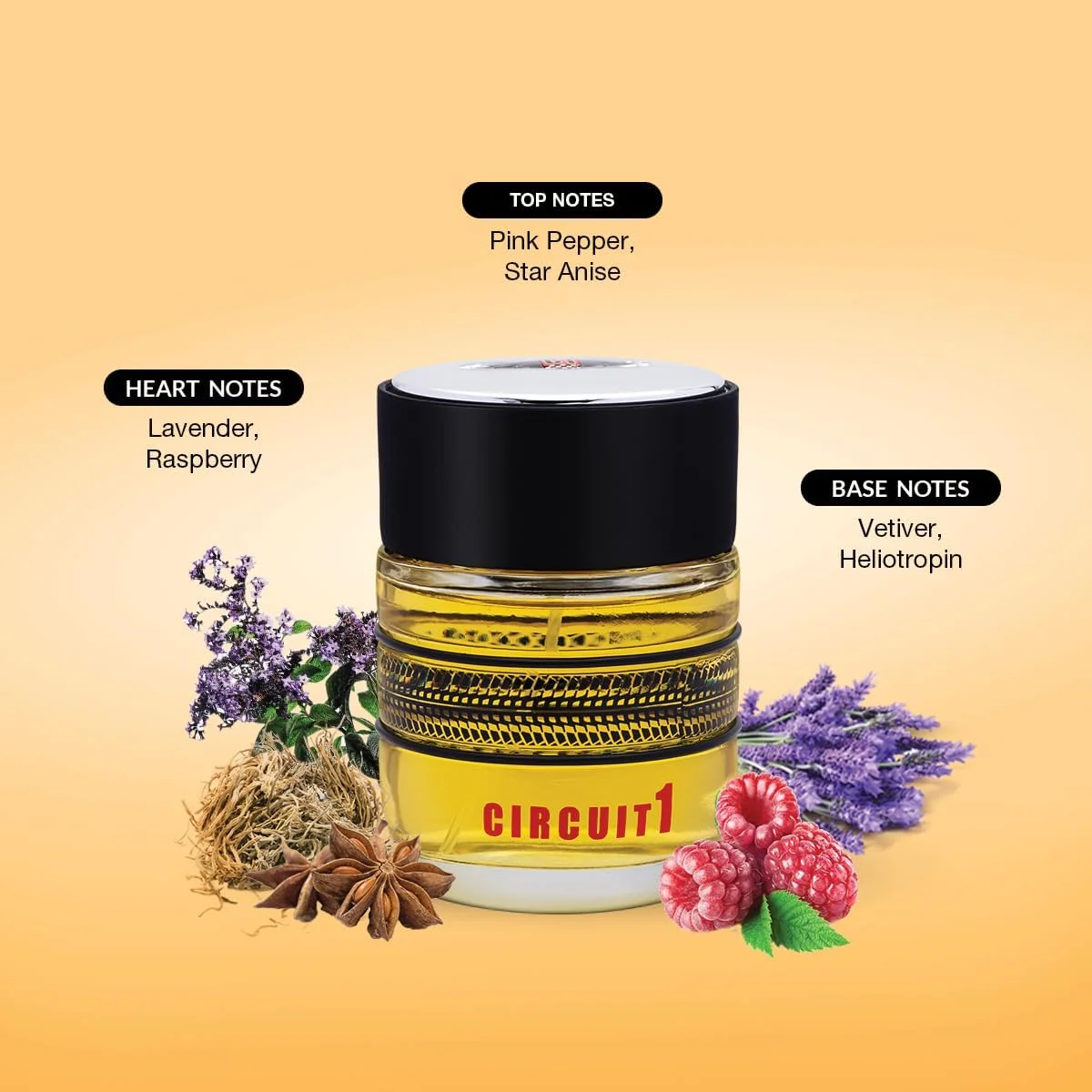 ادکلن مردانه ماندگار Jean Paul Dupont (JPD) Circuit 1 - با رایحه های سبز و چوبی - ادو تویلت 100 میلی لیتر