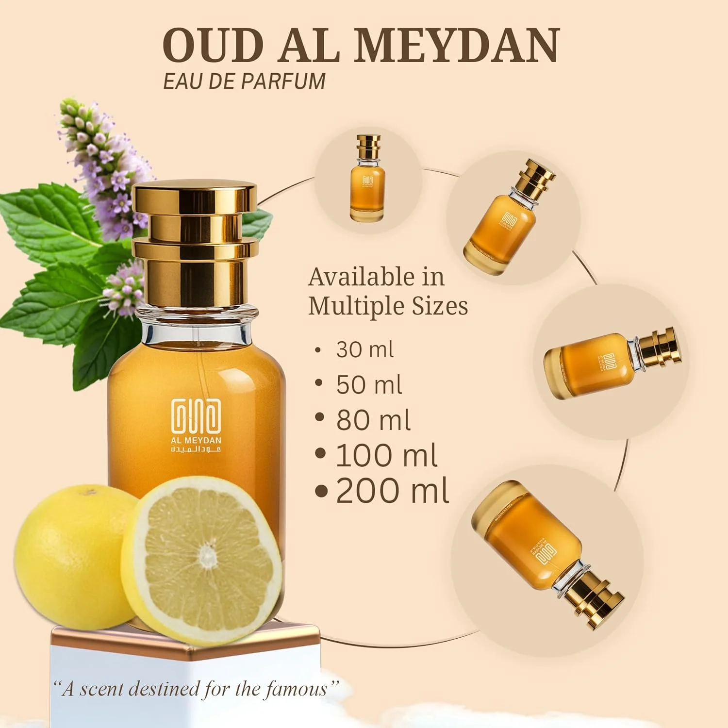 عطر روغنی مردانه با رایحه ای از تیگر - عطر روغنی مرکباتی چوبی بدون الکل با گریپ فروت، زنجبیل و مشک پنبه ای - ماندگاری طولانی 8-12 ساعت (30 میلی لیتر)