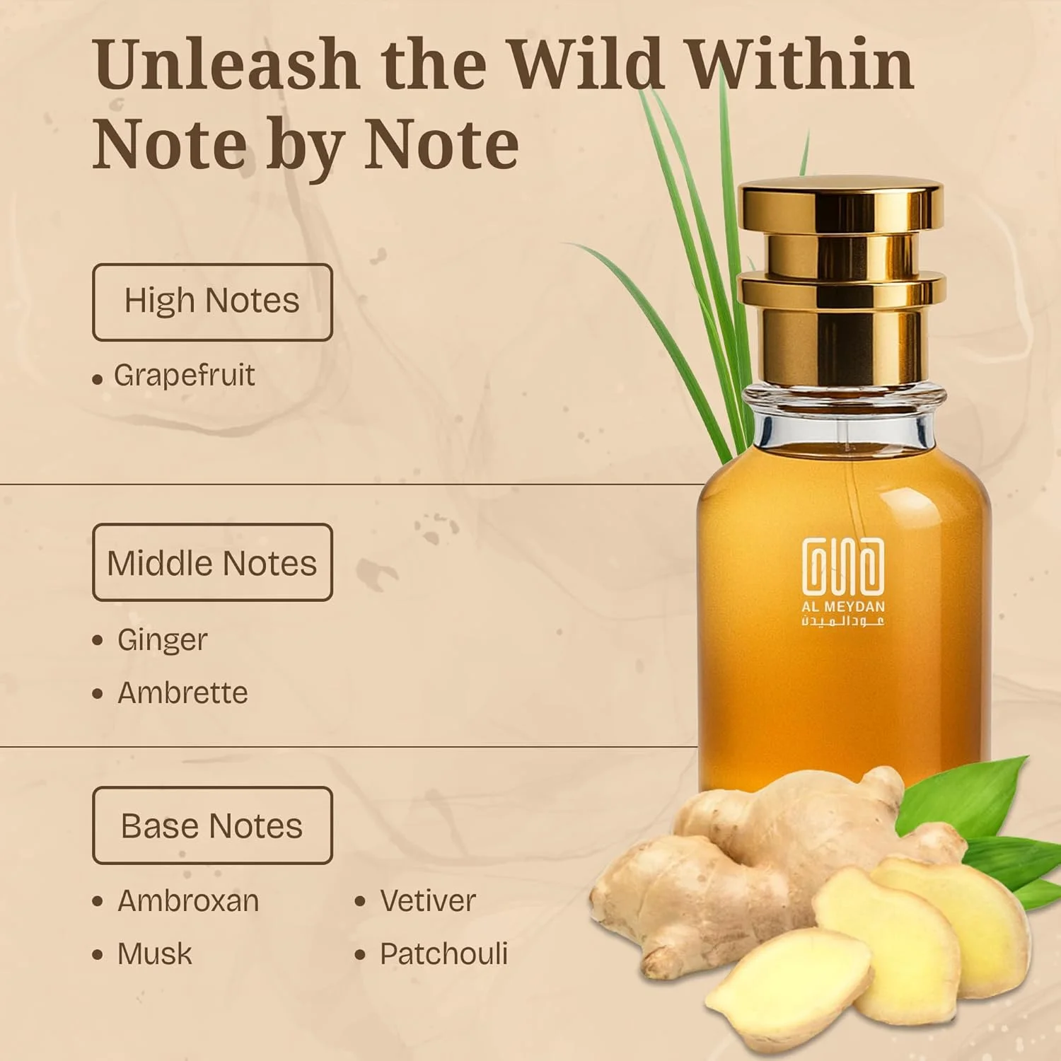 عطر روغنی مردانه با رایحه ای از تیگر - عطر روغنی مرکباتی چوبی بدون الکل با گریپ فروت، زنجبیل و مشک پنبه ای - ماندگاری طولانی 8-12 ساعت (30 میلی لیتر)