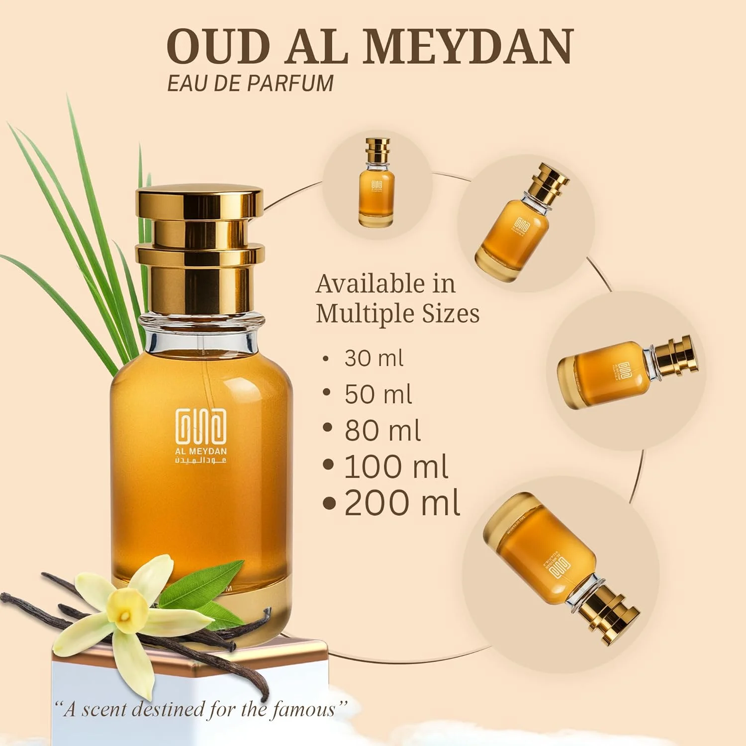 عطر روغنی مردانه – رایحه ای از والنتینا اومو – عطر روغنی چوبی و آروماتیک بدون الکل با وانیل، اسطوخودوس و وتیور – ماندگاری طولانی 8-10 ساعت (100 میلی لیتر) عطر روغنی مردانه – رایحه ای از والنتینا اومو – عطر روغنی چوبی و آروماتیک بدون الکل با وانیل، اسطوخودوس و وتیور – ماندگاری طولانی 8-10 ساعت (100 میلی لیتر)