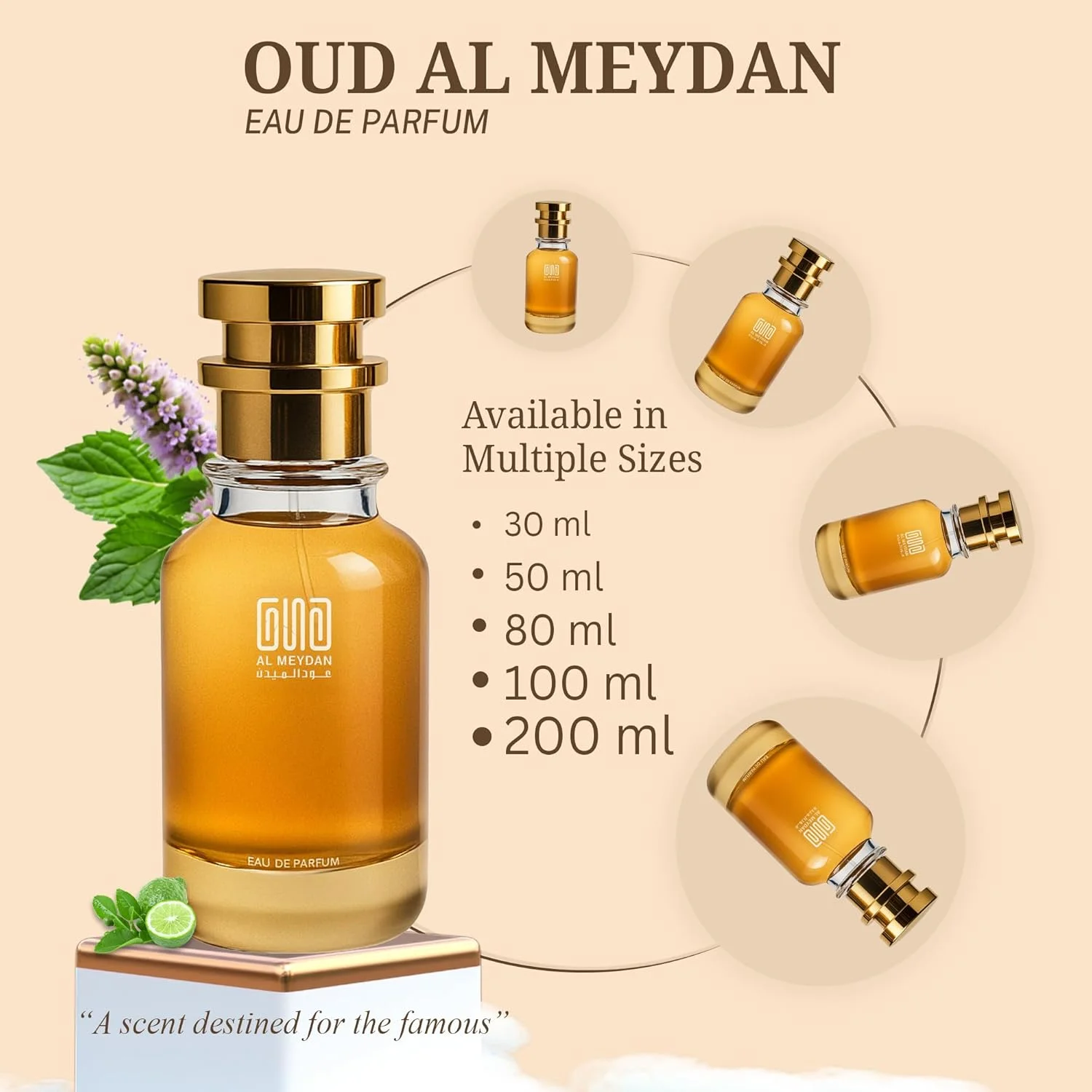 عطر روغنی مردانه – الهام گرفته از دیلون بلو – عطر روغنی با طراوت و چوبی بدون الکل با رایحه ترنج، نعناع هندی و مشک – ماندگاری طولانی 8 تا 10 ساعت (200 میلی لیتر)