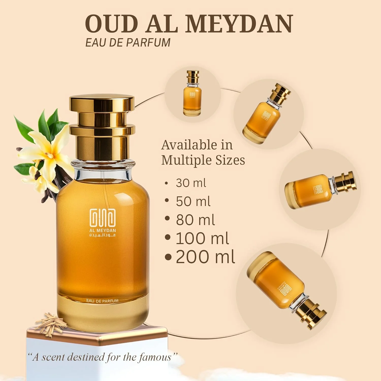 عطر روغنی مردانه – الهام گرفته از اینس ایز هیم – رایحه چوبی و تند بدون الکل با فلفل سیاه، وانیل و چوب صندل – ماندگاری طولانی، جسورانه و مردانه (100 میلی لیتر)