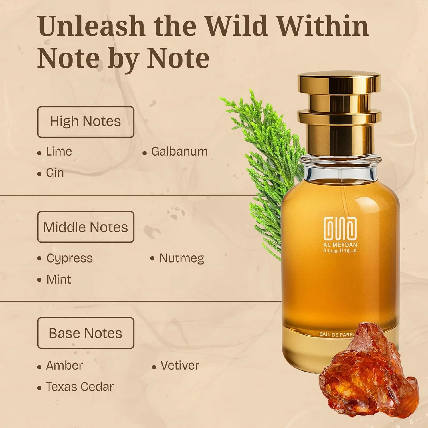 عطر روغنی مردانه – الهام گرفته از کلاسیک – رایحه آروماتیک تازه و ماندگار با لیمو، سرو و عنبر – ماندگاری 8-10 ساعته – روغن عطر مردانه جسورانه (50 میلی لیتر)