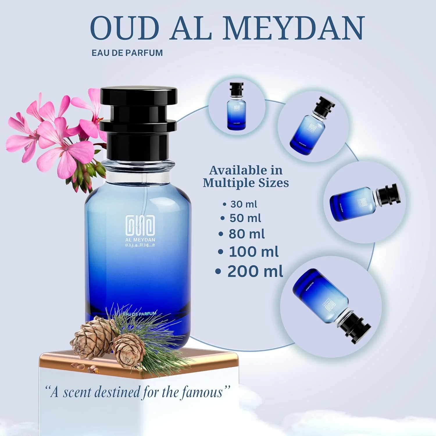 عطر مردانه با الهام از سوآژ – عطر روغنی ماندگار برای مردان – رایحه ترنج تازه، فلفل تند و عنبر – رایحه جسورانه و مردانه برای استفاده روزانه (80 میلی لیتر)