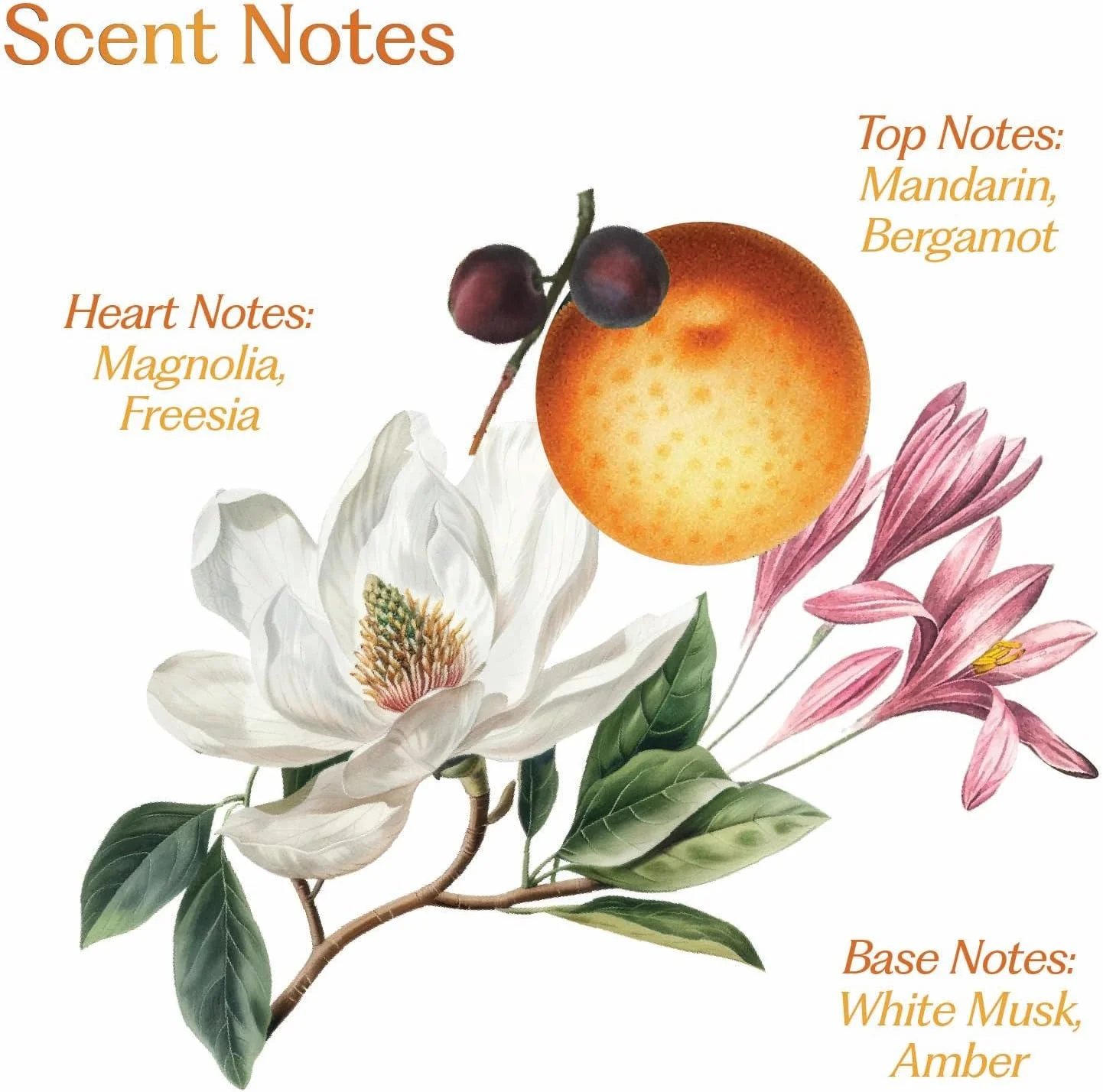 عطر مو زنانه Sacred Grove، اسپری مو گل‌های وحشی با آلوئه ورا و آب رزماری | بدون الکل | عطر مو униsex، ۵۰ میلی لیتر