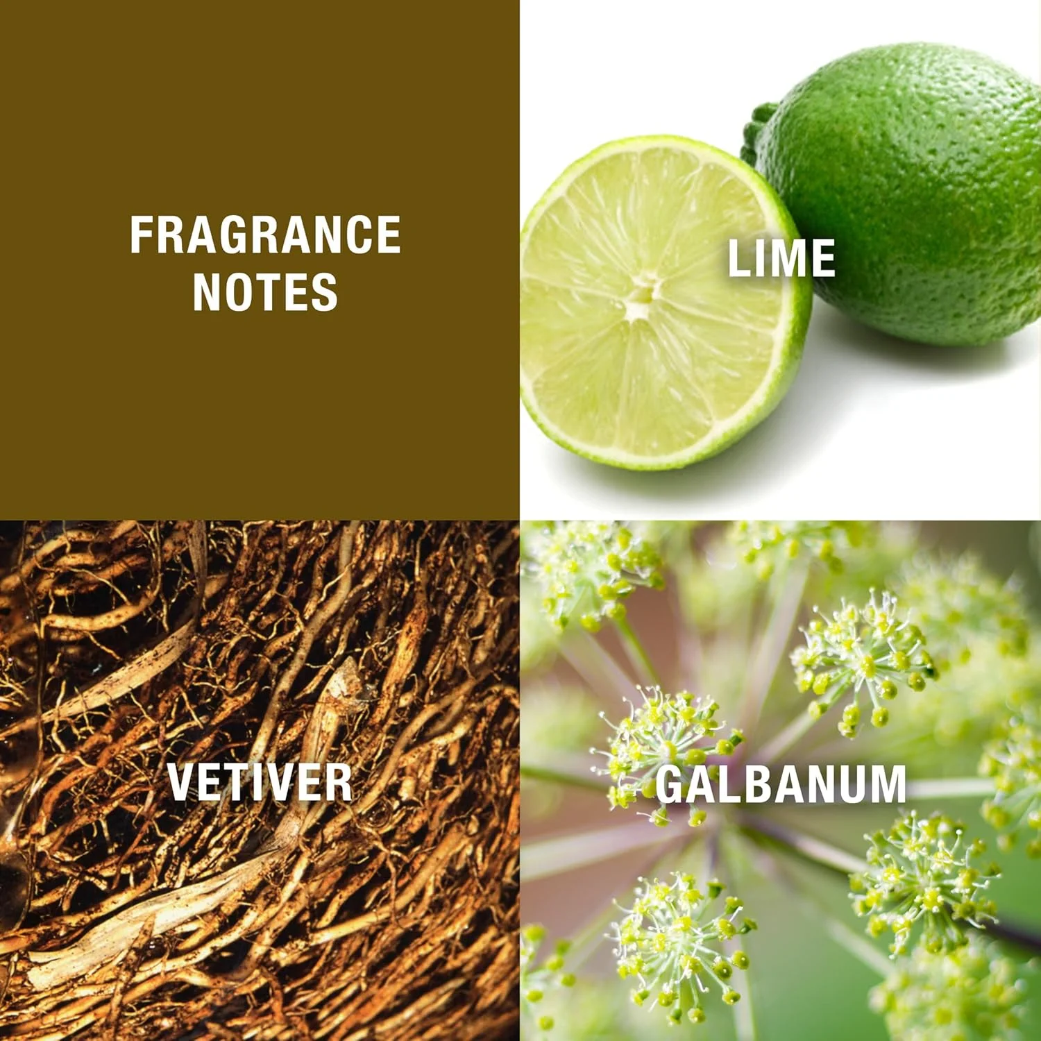 ادکلن مردانه هالستون 1-12 هالستون اسپری 125 میل