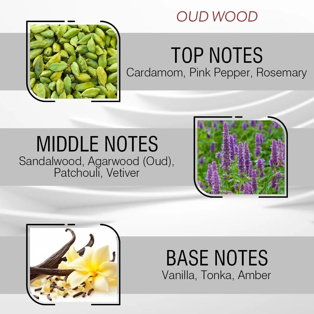 عطر روغنی عود وود رولی | رایحه چوبی، عود و ادویه ای گرم унисекс | عطر متمرکز بدون الکل ساخت فرانسه - 10 میلی لیتر | رایحه ماندگار از Coral Perfumes