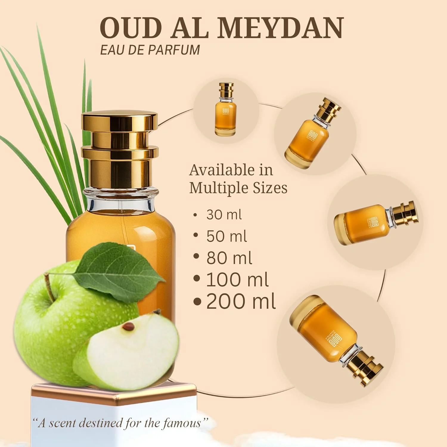 عطر روغنی مردانه – رایحه آکوا آتلانتیک – عطر روغنی بدون الکل با رایحه های آبی، ترنج، چوب صندل و نعناع هندی – ماندگاری طولانی و طراوت (30 میلی لیتر)