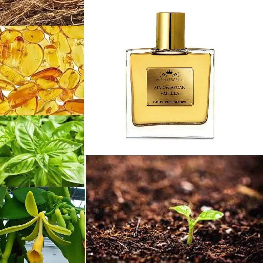 ادکلن مردانه Menjewell وانیل ماداگاسکار | رایحه ماندگار | اسپری معطر یونیسکس ایده آل برای استفاده روزانه، مهمانی ها، هدیه و مناسبت های خاص، (100 میلی لیتر)