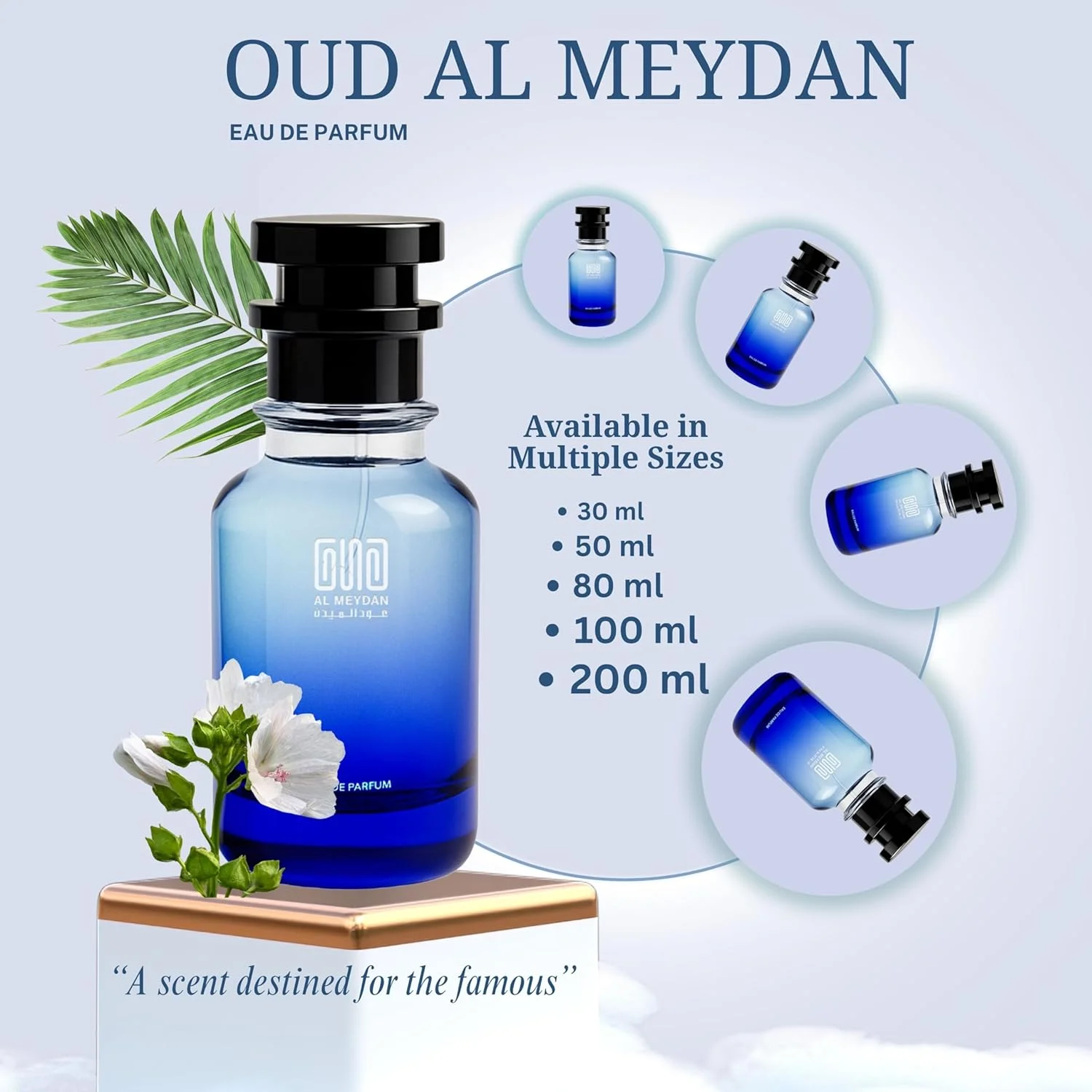 عطر روغنی مردانه – الهام گرفته از مگاماره – بدون الکل – رایحه ماندگار دریایی با نت های دریایی، نمک و مشک – رایحه اقیانوسی جسورانه (100 میلی لیتر)