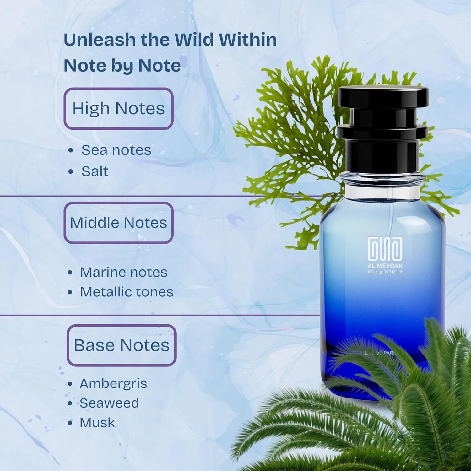 عطر روغنی مردانه – الهام گرفته از مگاماره – بدون الکل – رایحه ماندگار دریایی با نت های دریایی، نمک و مشک – رایحه اقیانوسی جسورانه (100 میلی لیتر)