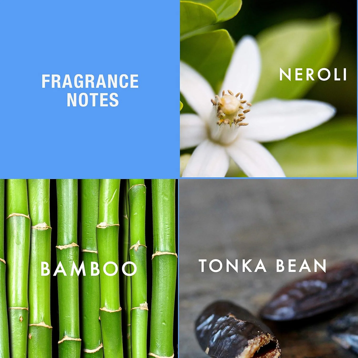 ادکلن مردانه آلفرد سانگ هی، 100 میلی لیتر - ادو تویلت اسپری