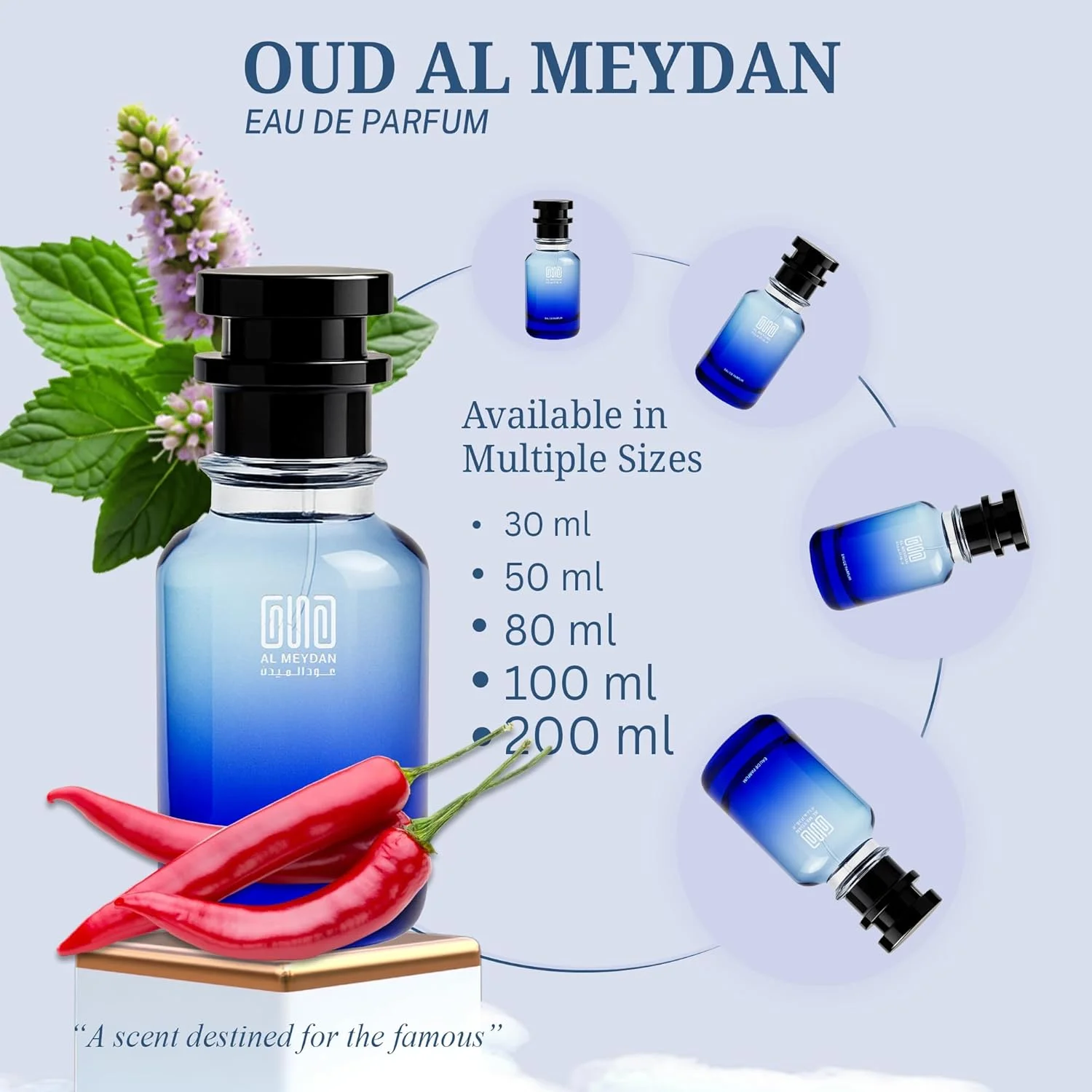 عطر روغنی مردانه – رایحه ای از او-راگی – عطر مرکباتی چوبی بدون الکل با وتیور، ترنج و مشک – ماندگاری طولانی، ظریف و خاکی (50 میلی لیتر)